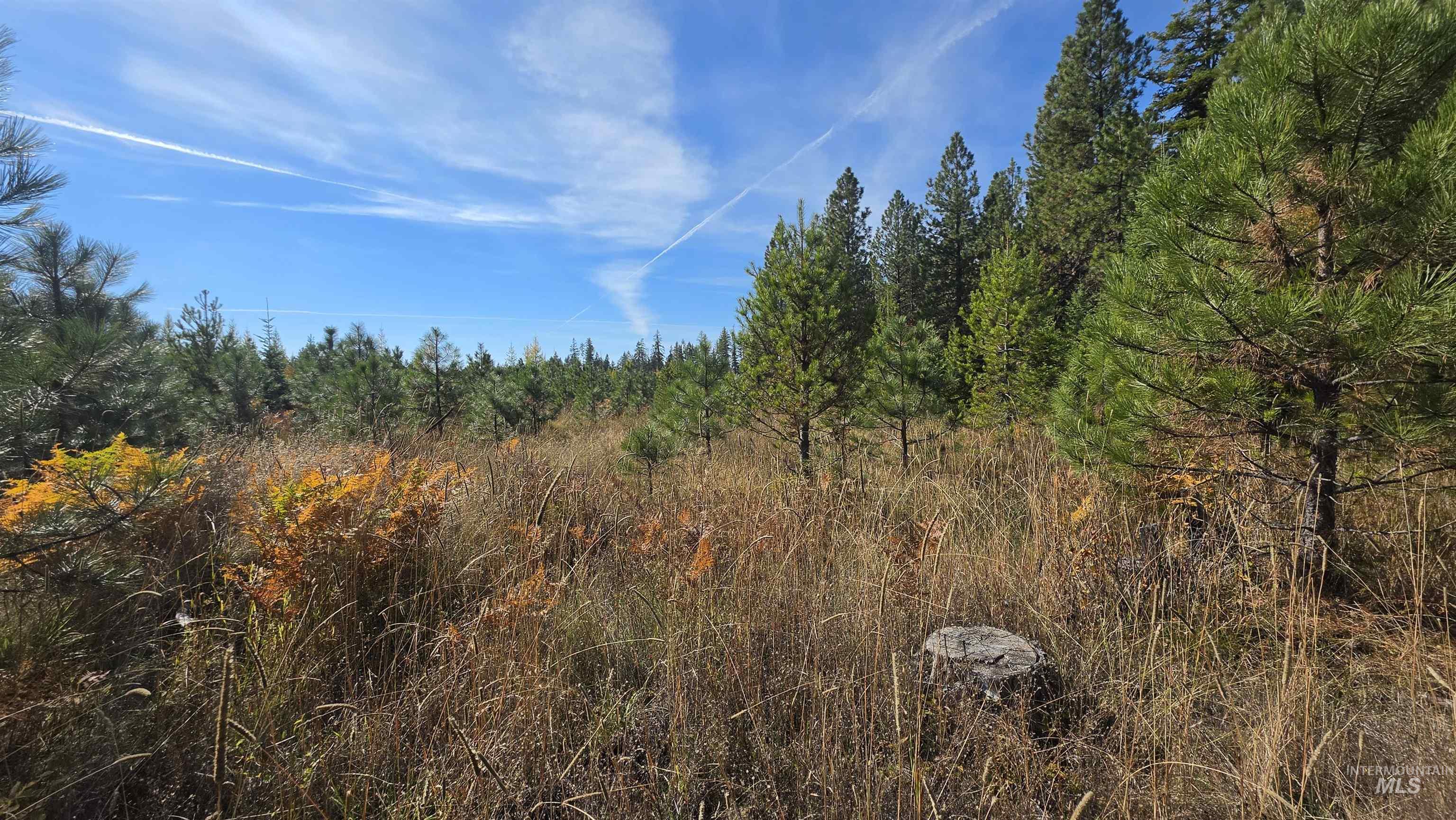 0 Timberline Heights, Parcel 8 Property Photo 6