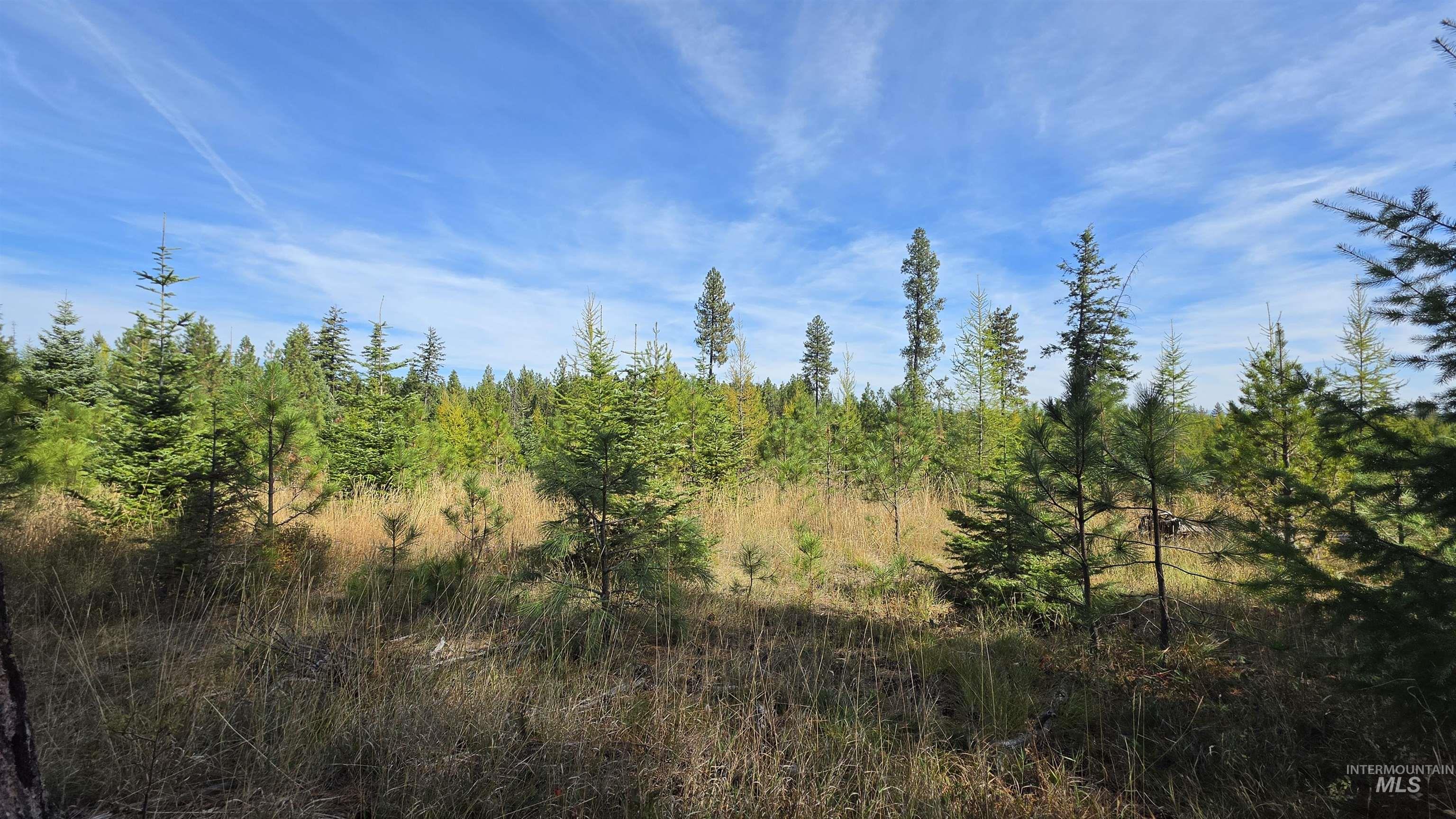 0 Timberline Heights, Parcel 8 Property Photo 7