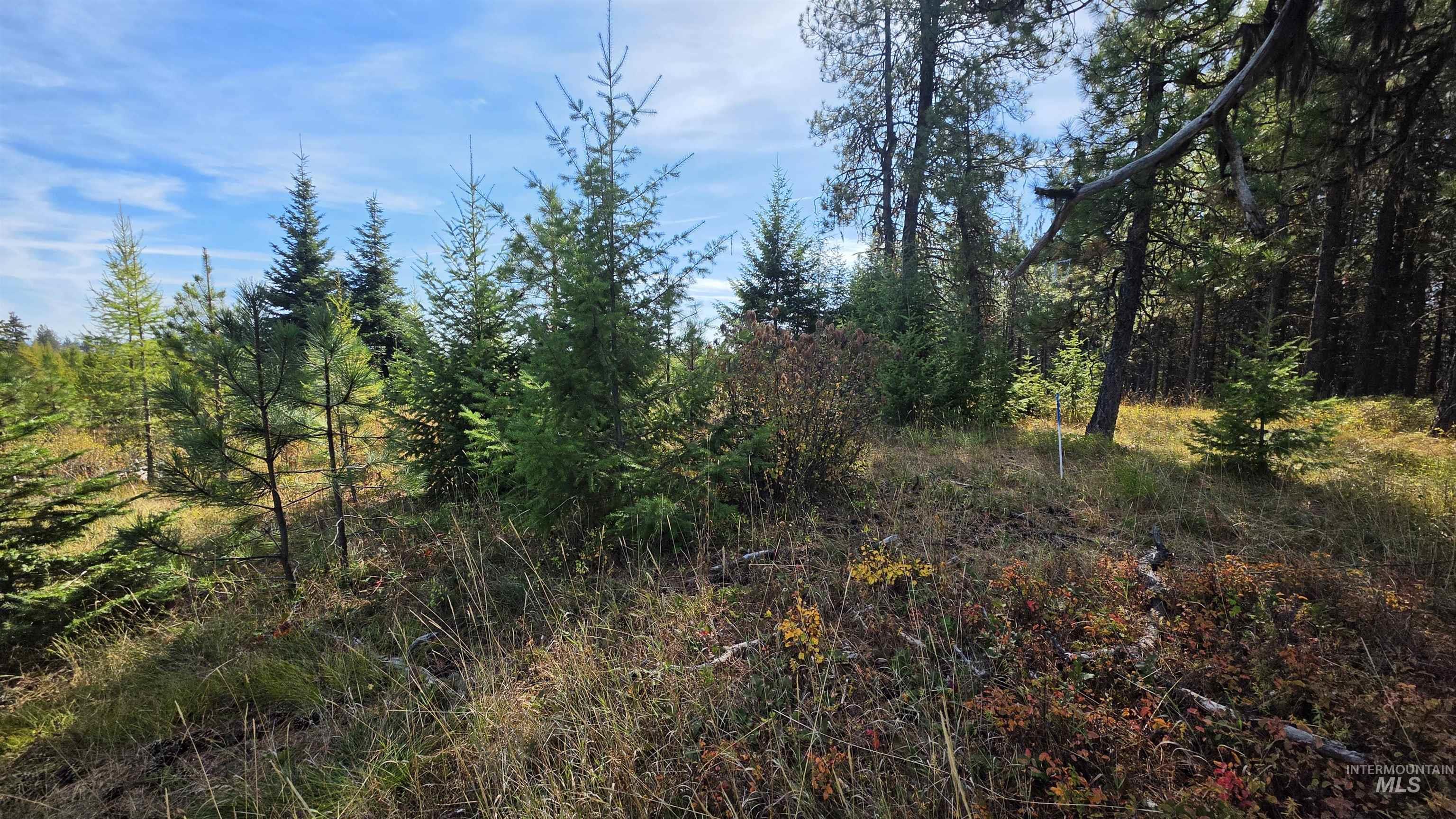 0 Timberline Heights, Parcel 8 Property Photo 8