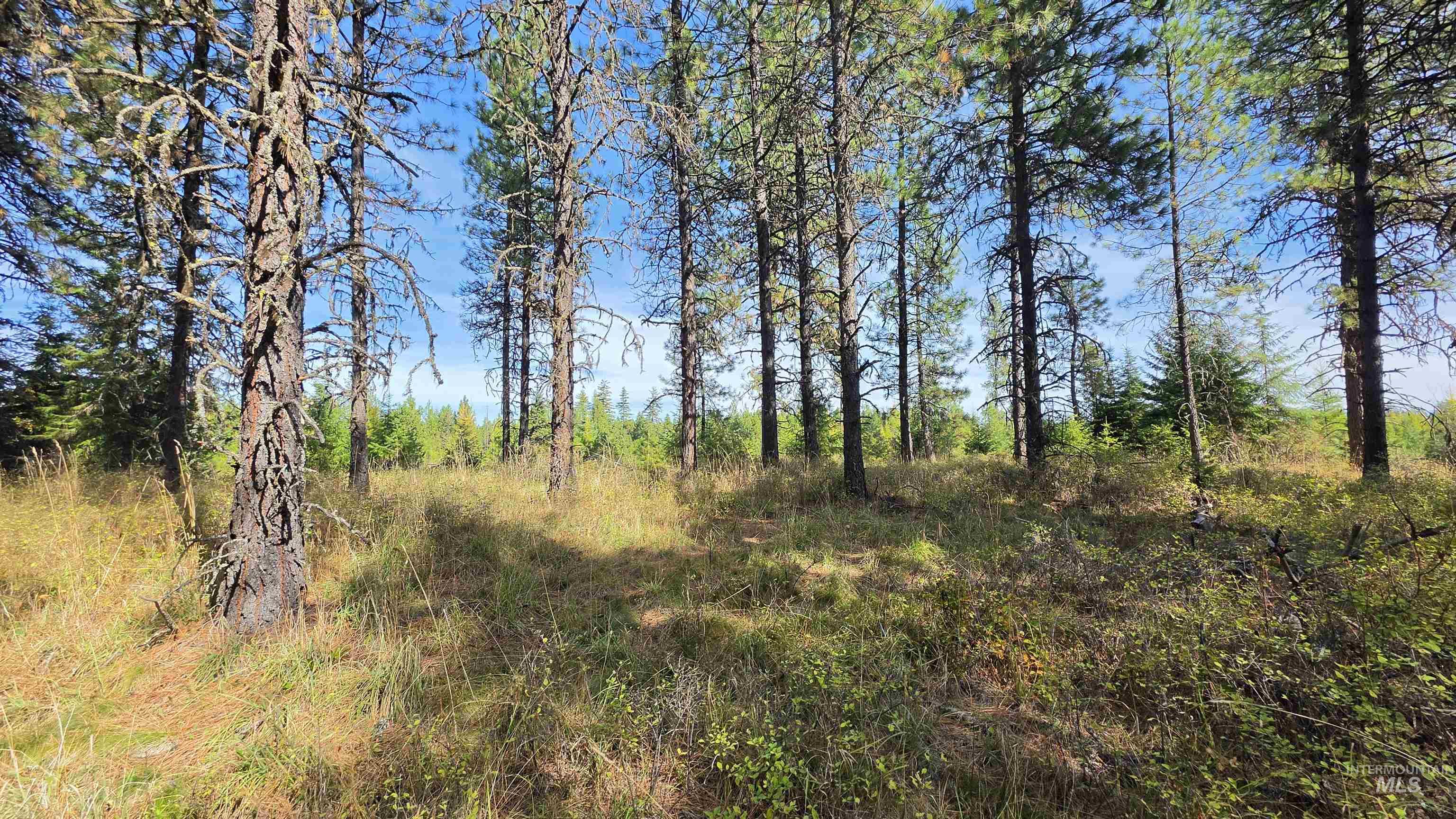 0 Timberline Heights, Parcel 8 Property Photo 10
