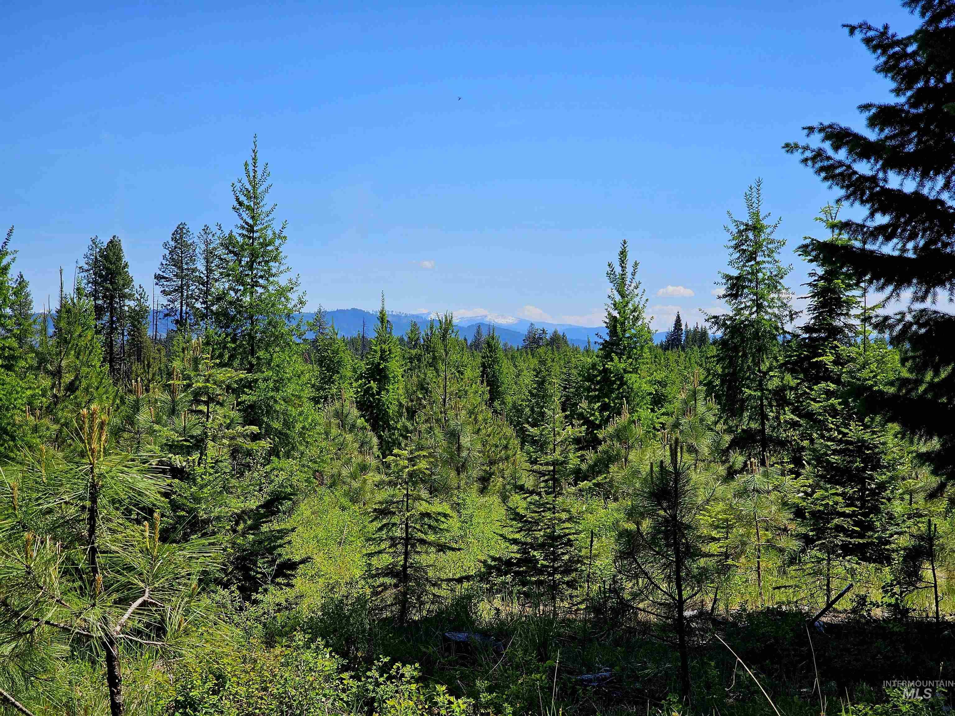 0 Timberline Heights, Parcel 8 Property Photo 11