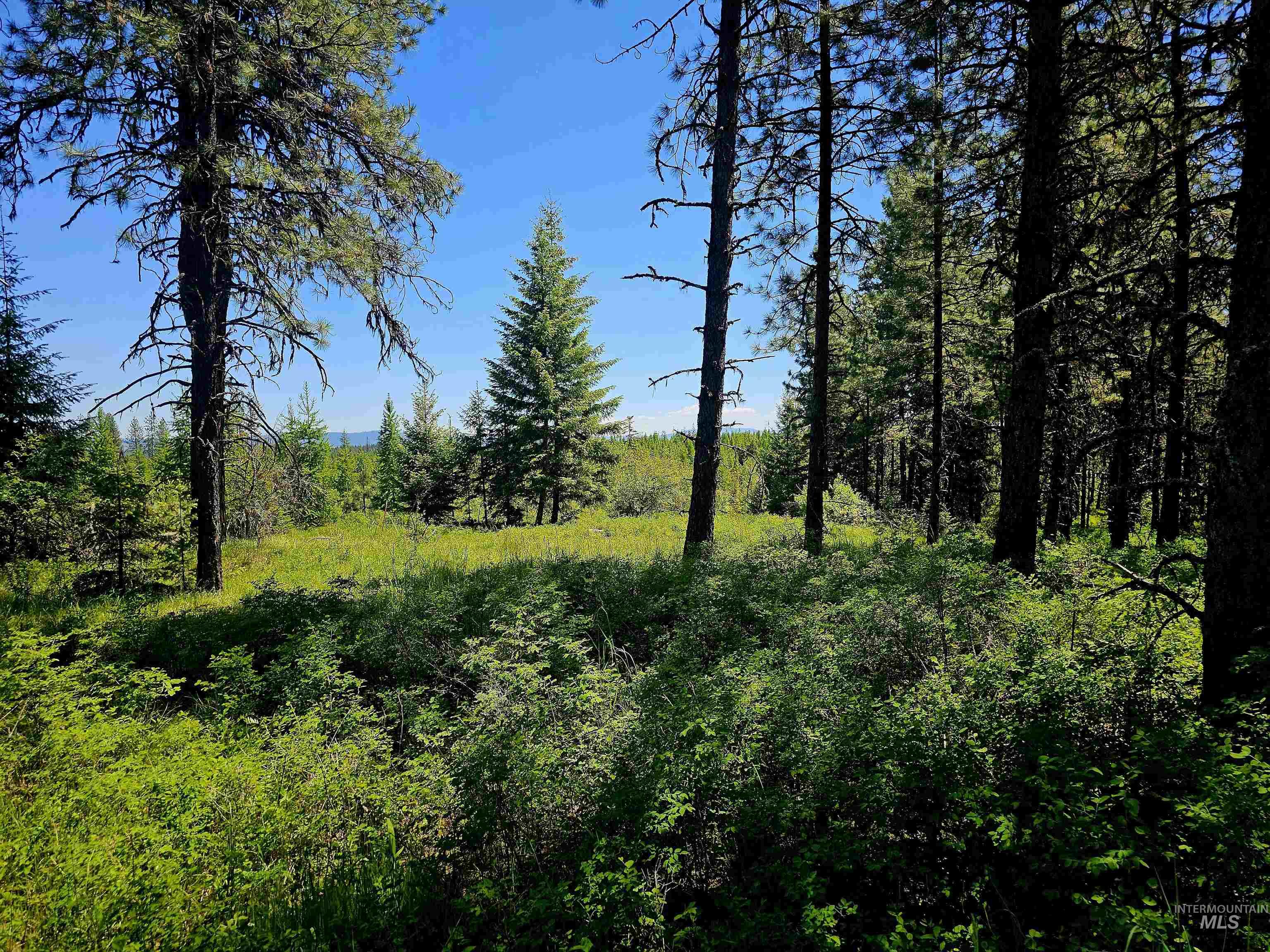 0 Timberline Heights, Parcel 8 Property Photo 12