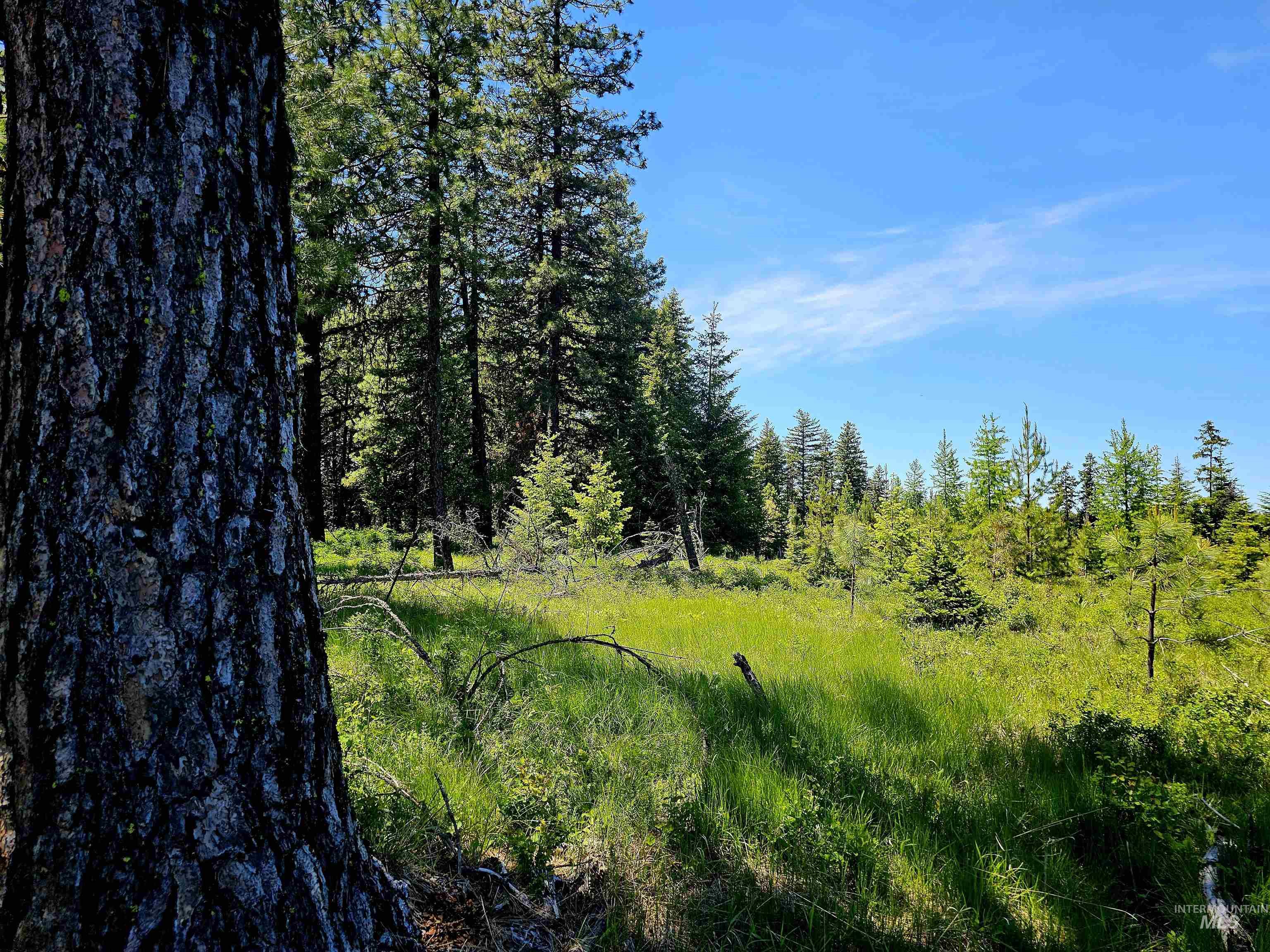 0 Timberline Heights, Parcel 8 Property Photo 13