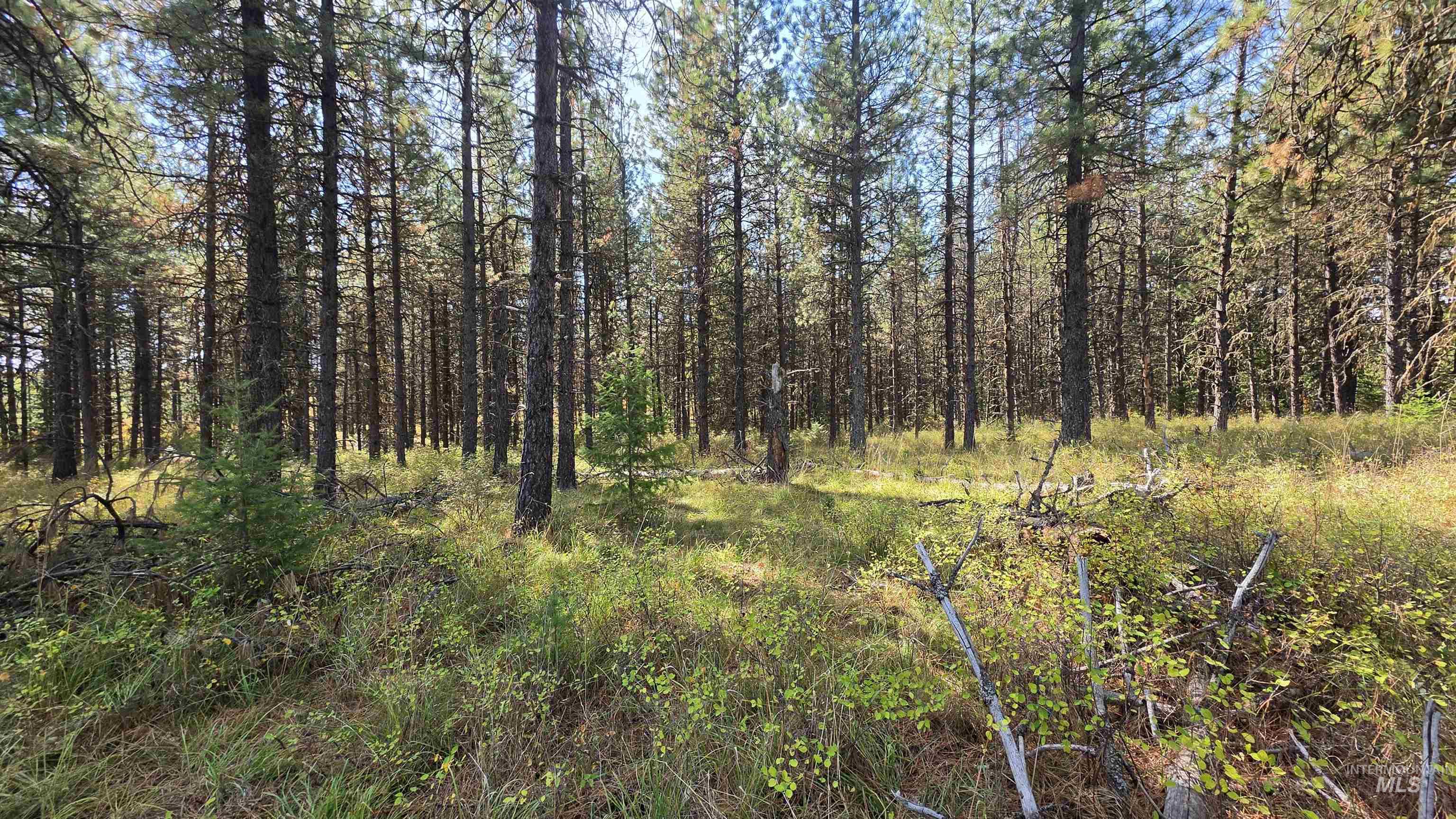 0 Timberline Heights, Parcel 8 Property Photo 15