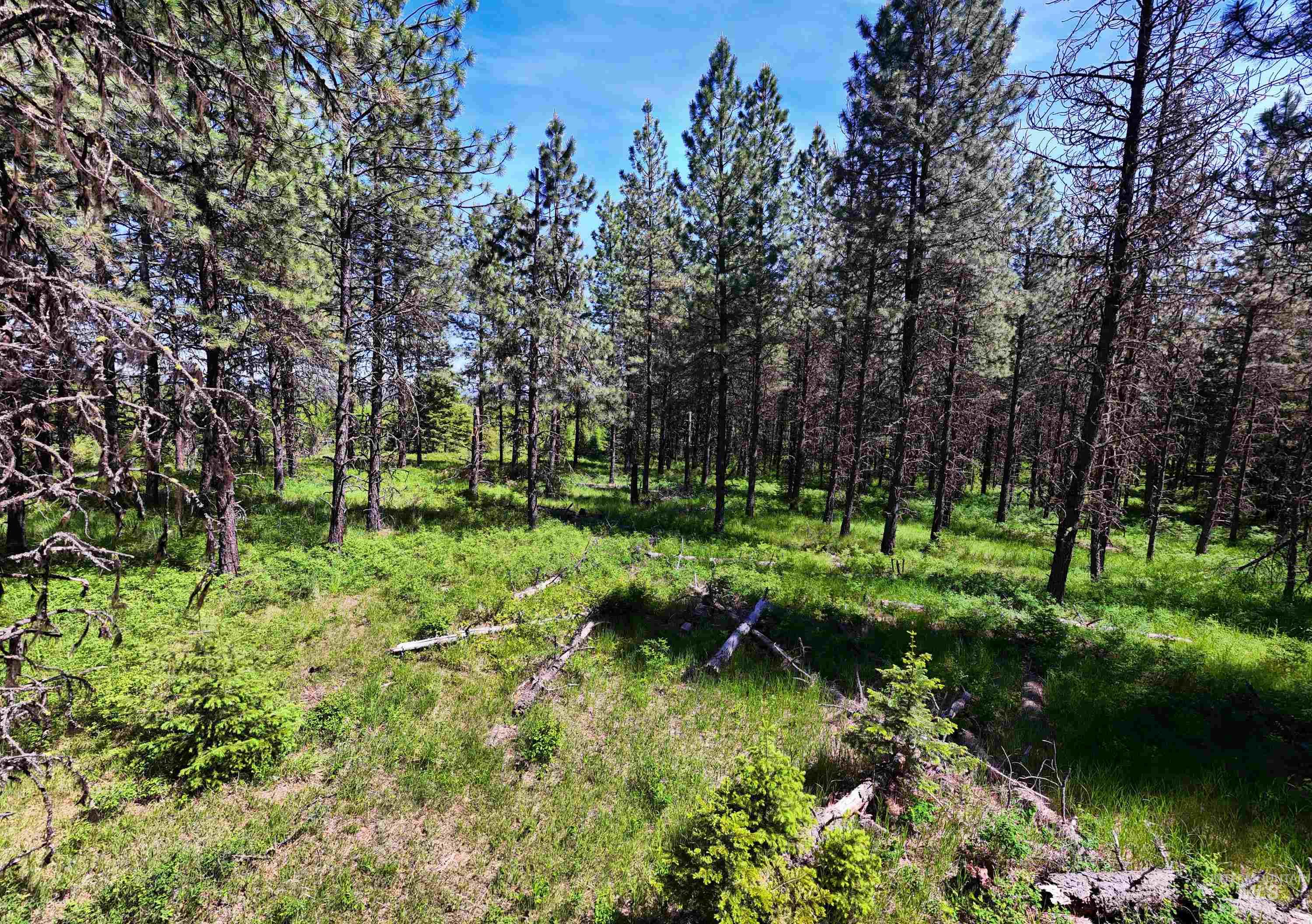0 Timberline Heights, Parcel 8 Property Photo 19