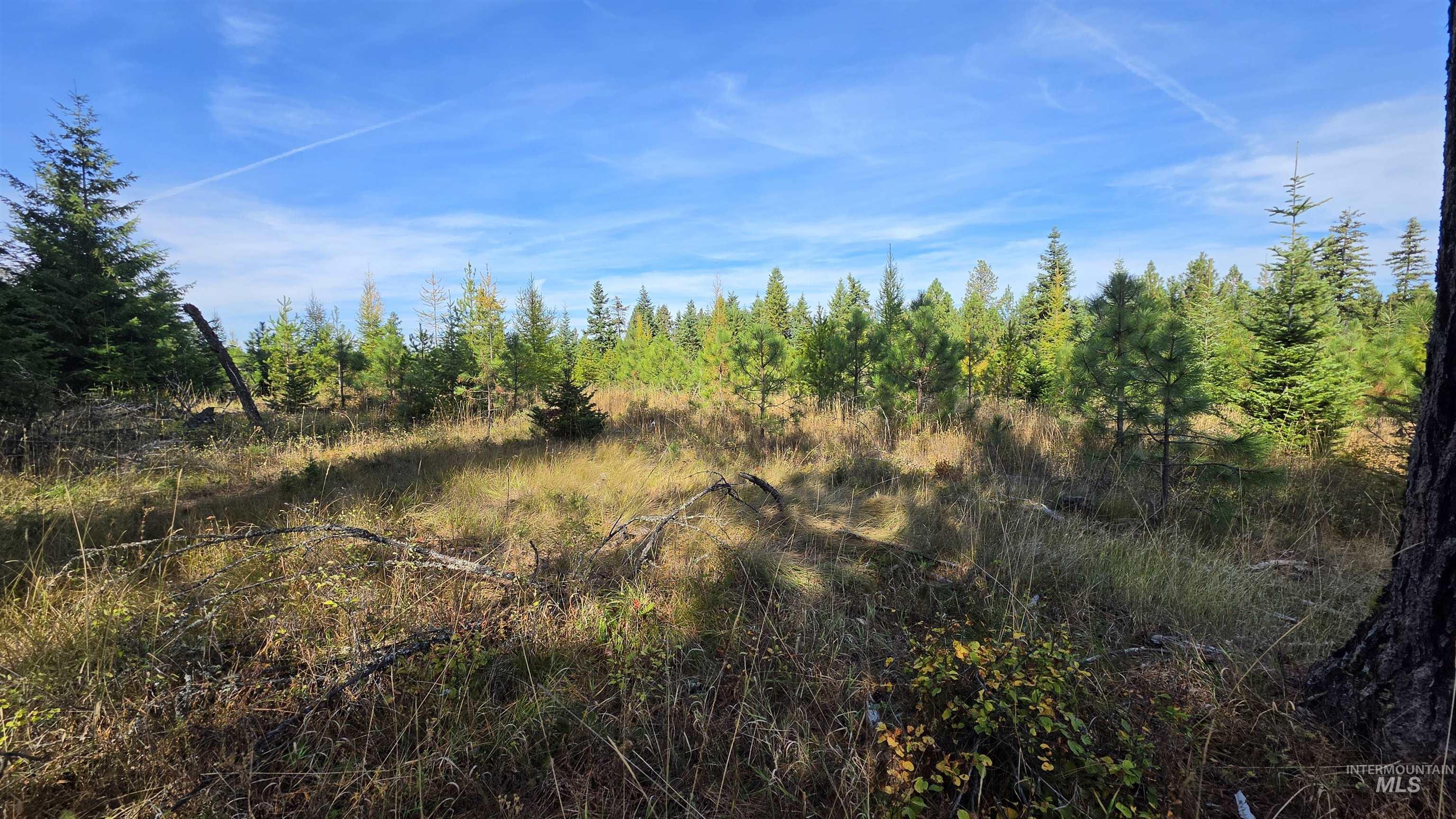 0 Timberline Heights, Parcel 8 Property Photo 21