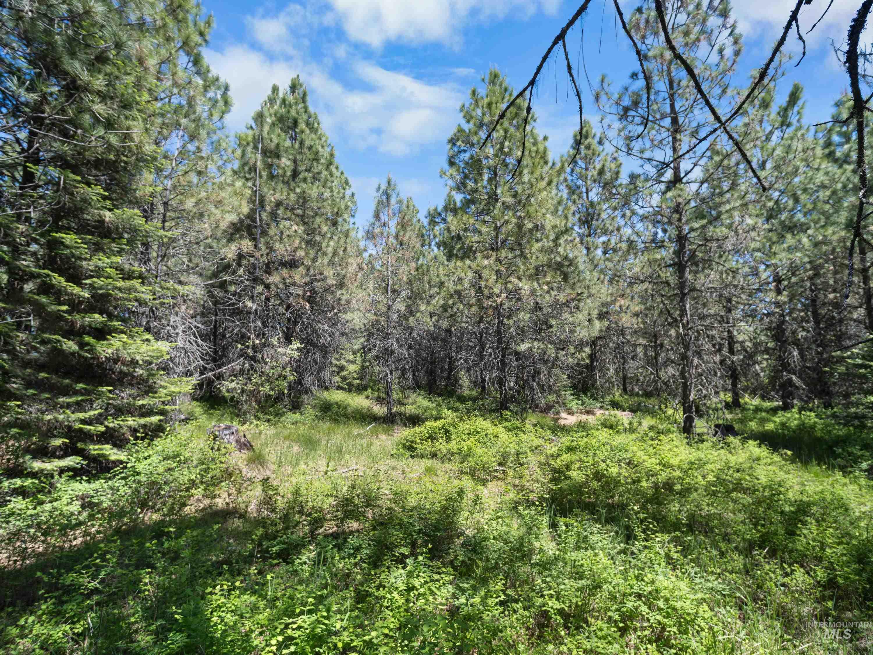 0 Timberline Heights, Parcel 8 Property Photo 22