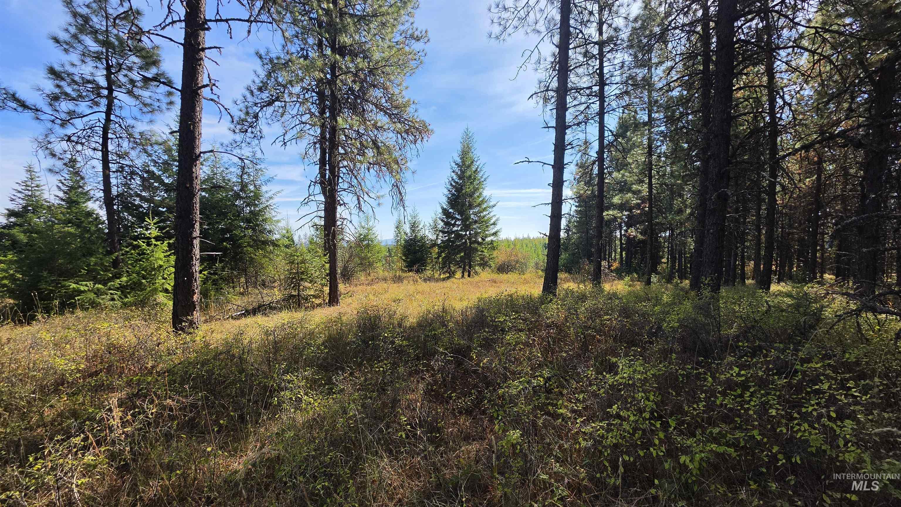 0 Timberline Heights, Parcel 8 Property Photo 23