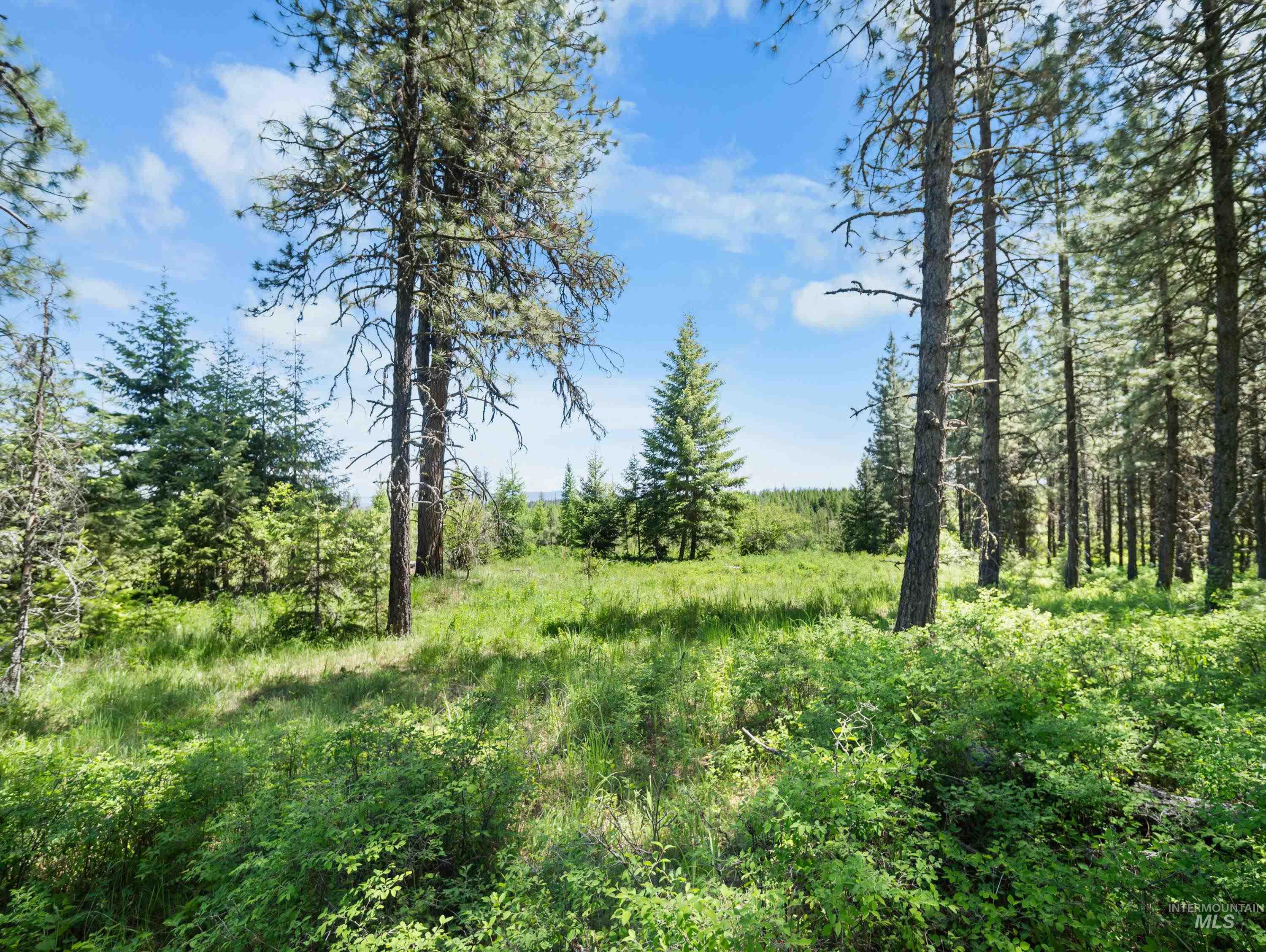 0 Timberline Heights, Parcel 8 Property Photo 24