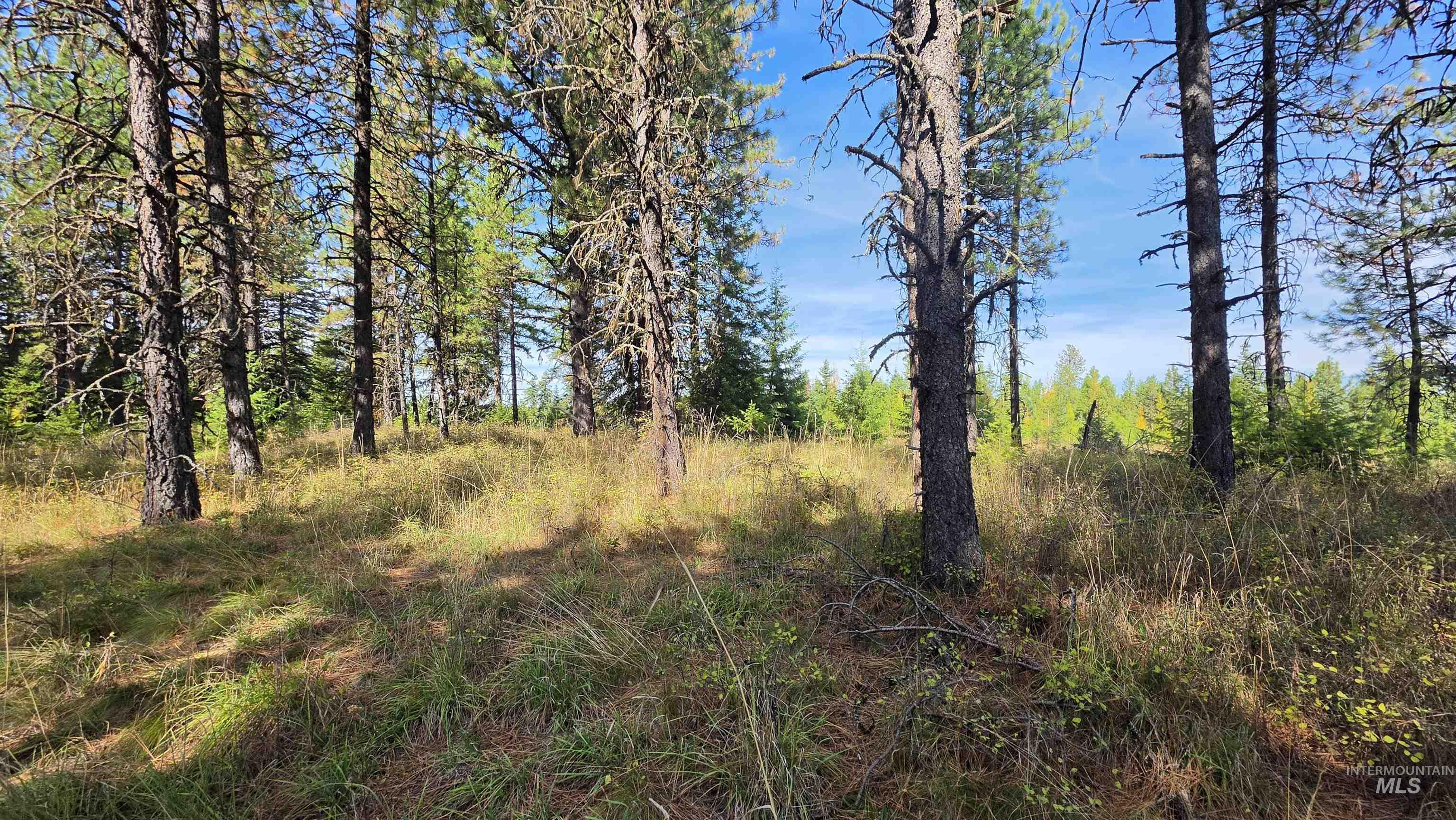 0 Timberline Heights, Parcel 8 Property Photo 25