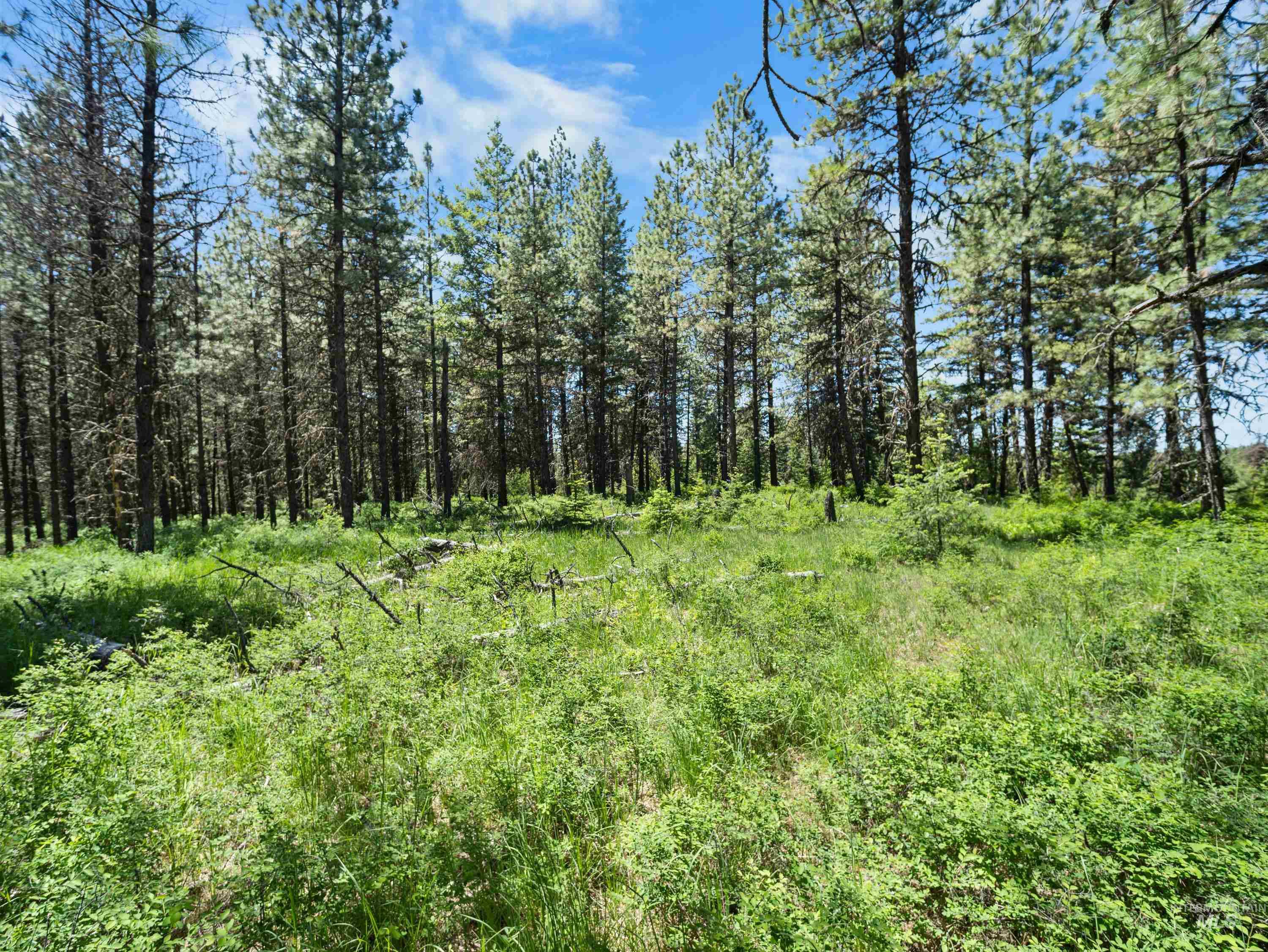 0 Timberline Heights, Parcel 8 Property Photo 26