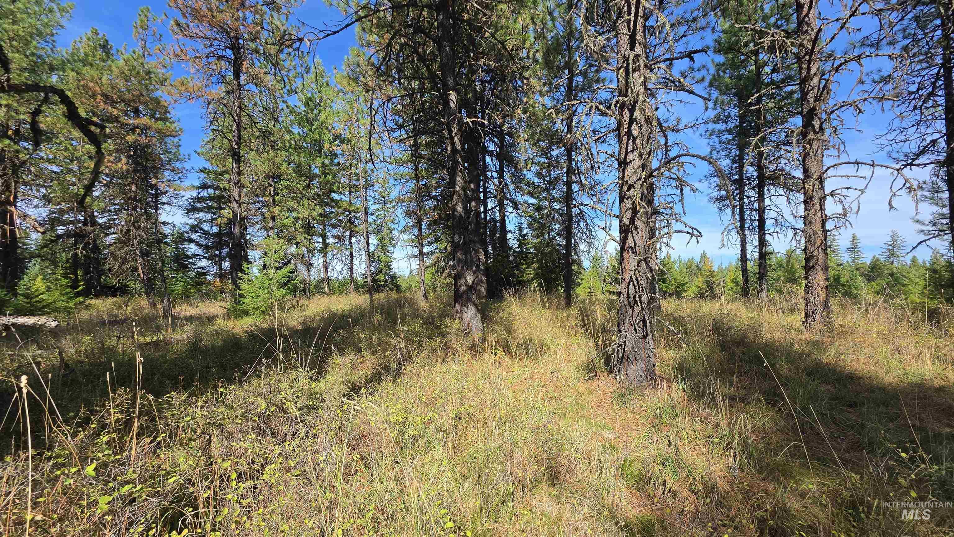 0 Timberline Heights, Parcel 8 Property Photo 27