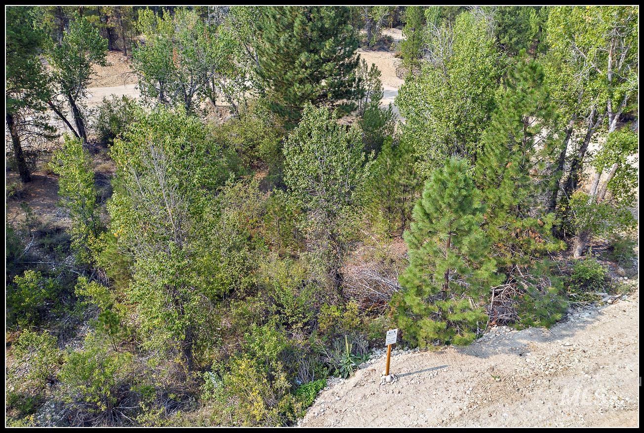 Lot 61 Lily Loop Property Photo 2