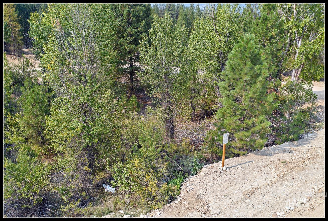 Lot 61 Lily Loop Property Photo 3