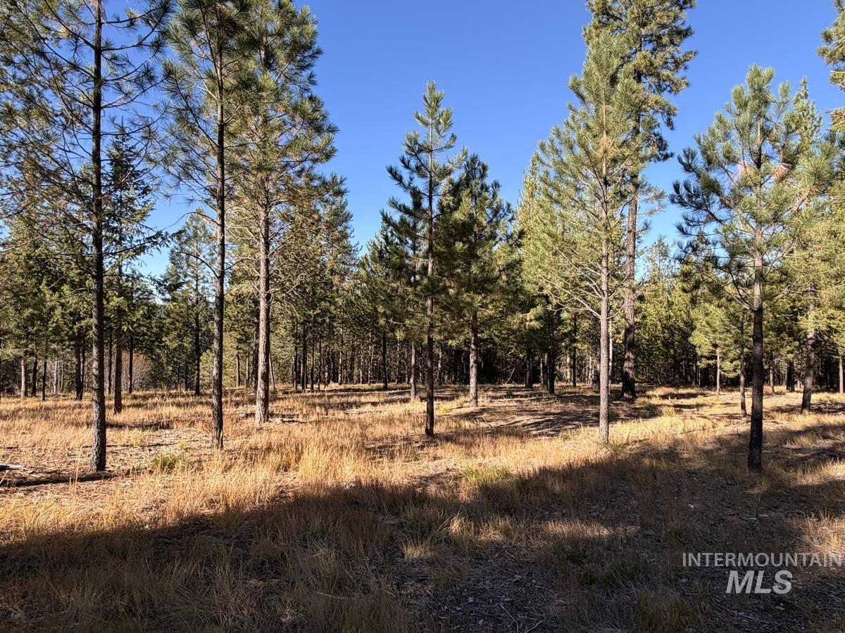 315 Clear Creek Road Property Photo 6