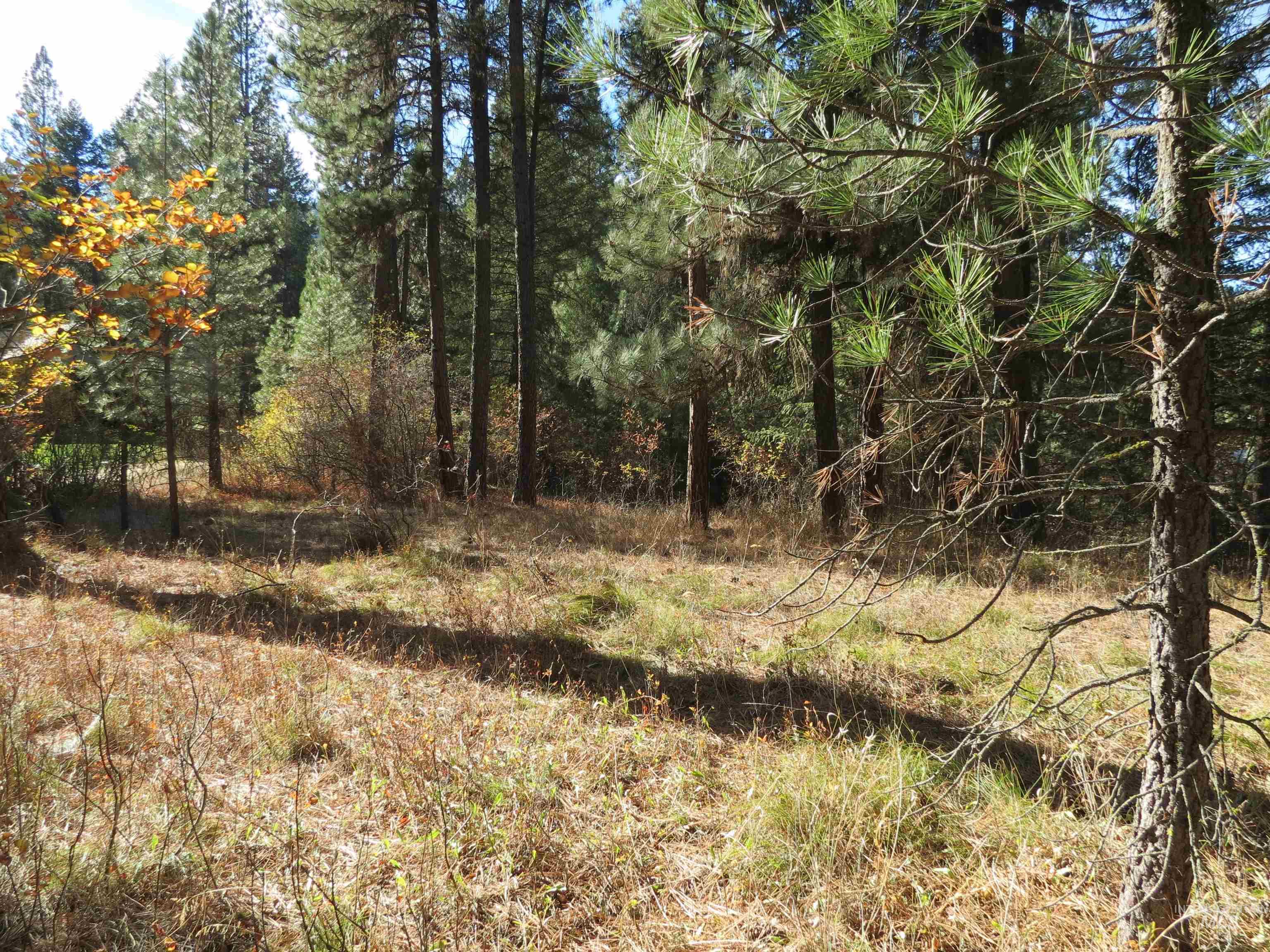 Lot 36 Spur Dr. Property Photo 1