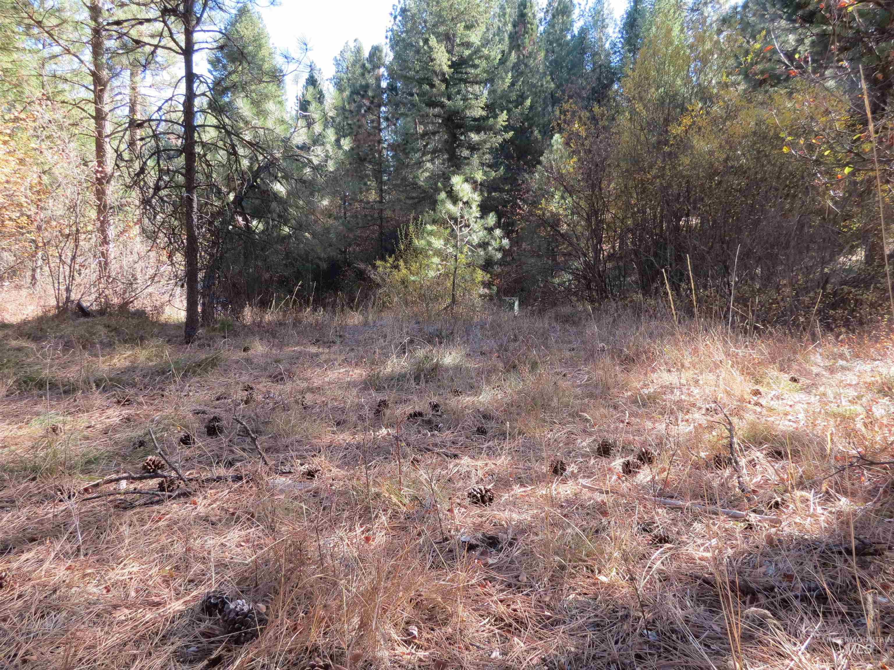 Lot 36 Spur Dr. Property Photo 3