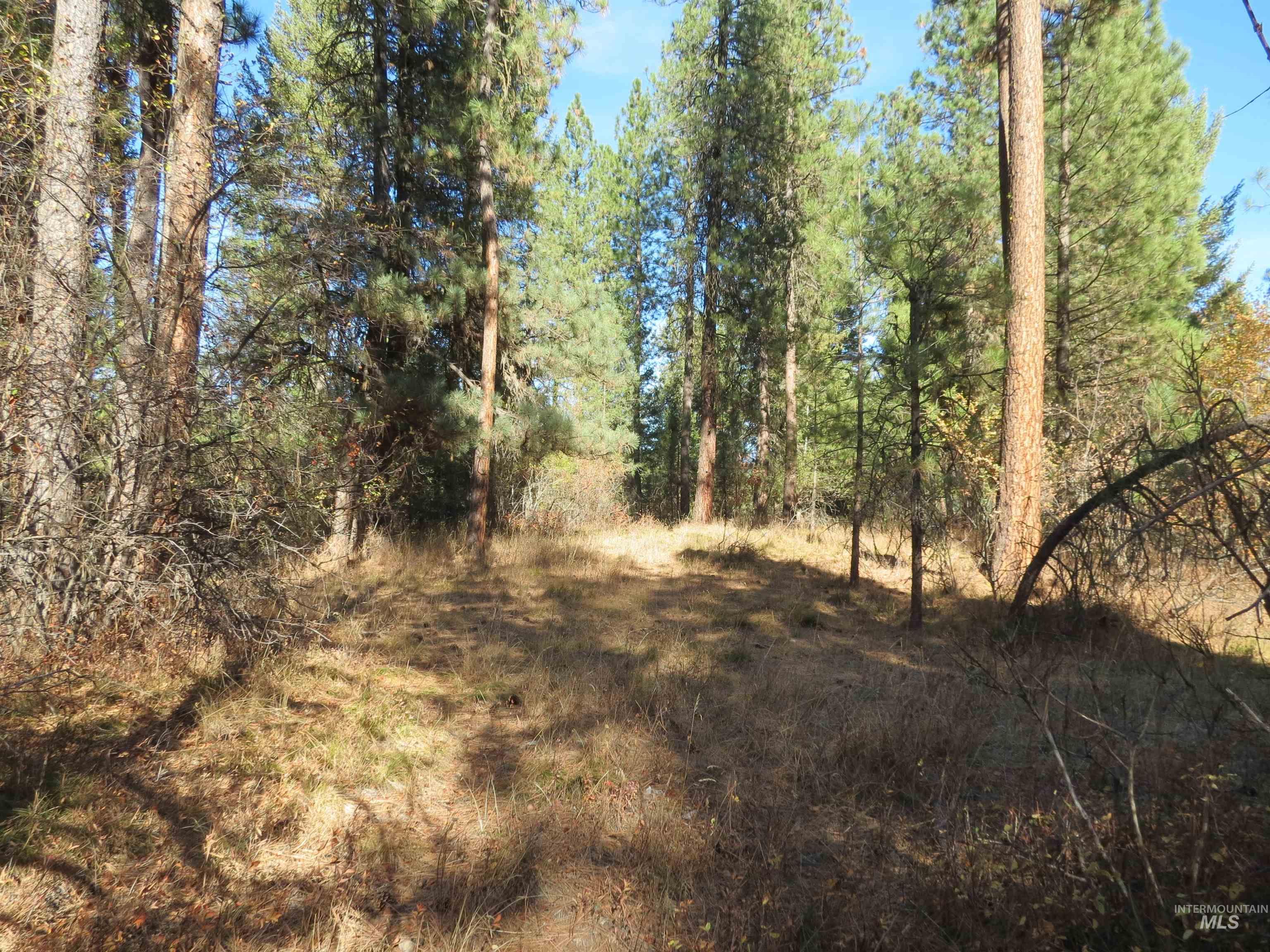 Lot 36 Spur Dr. Property Photo 7