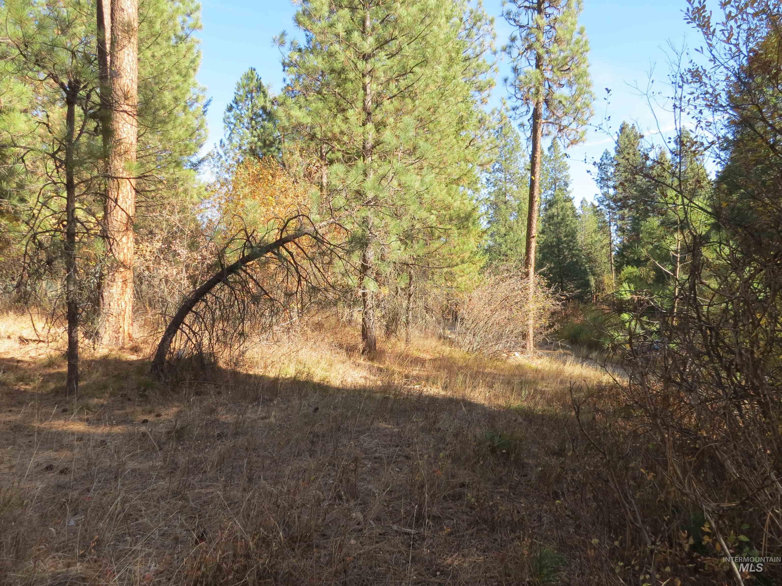 Lot 36 Spur Dr. Property Photo 8