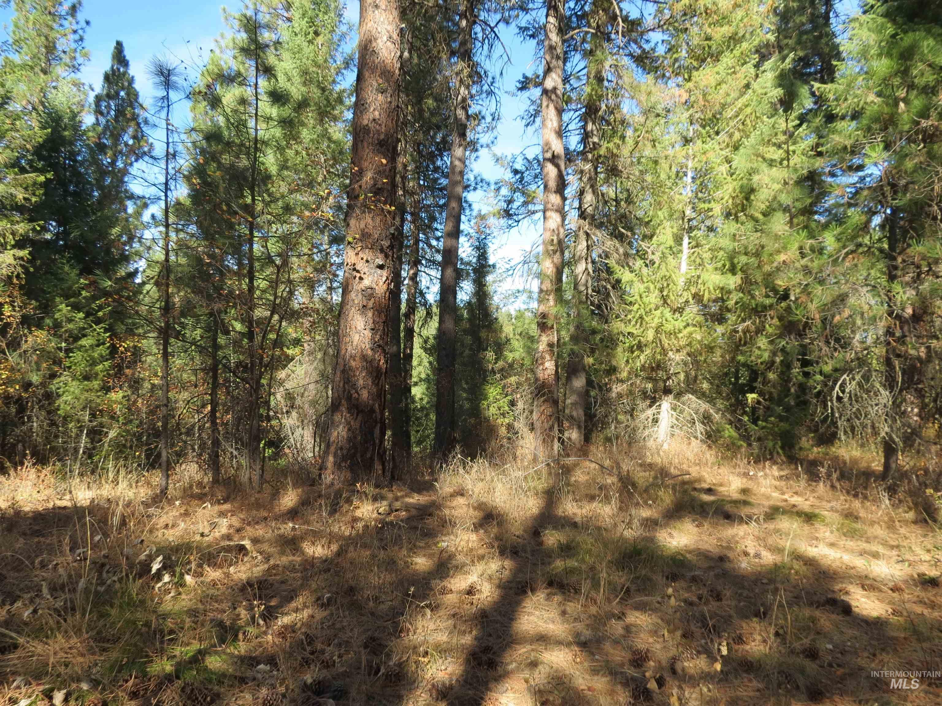 Lot 36 Spur Dr. Property Photo 9
