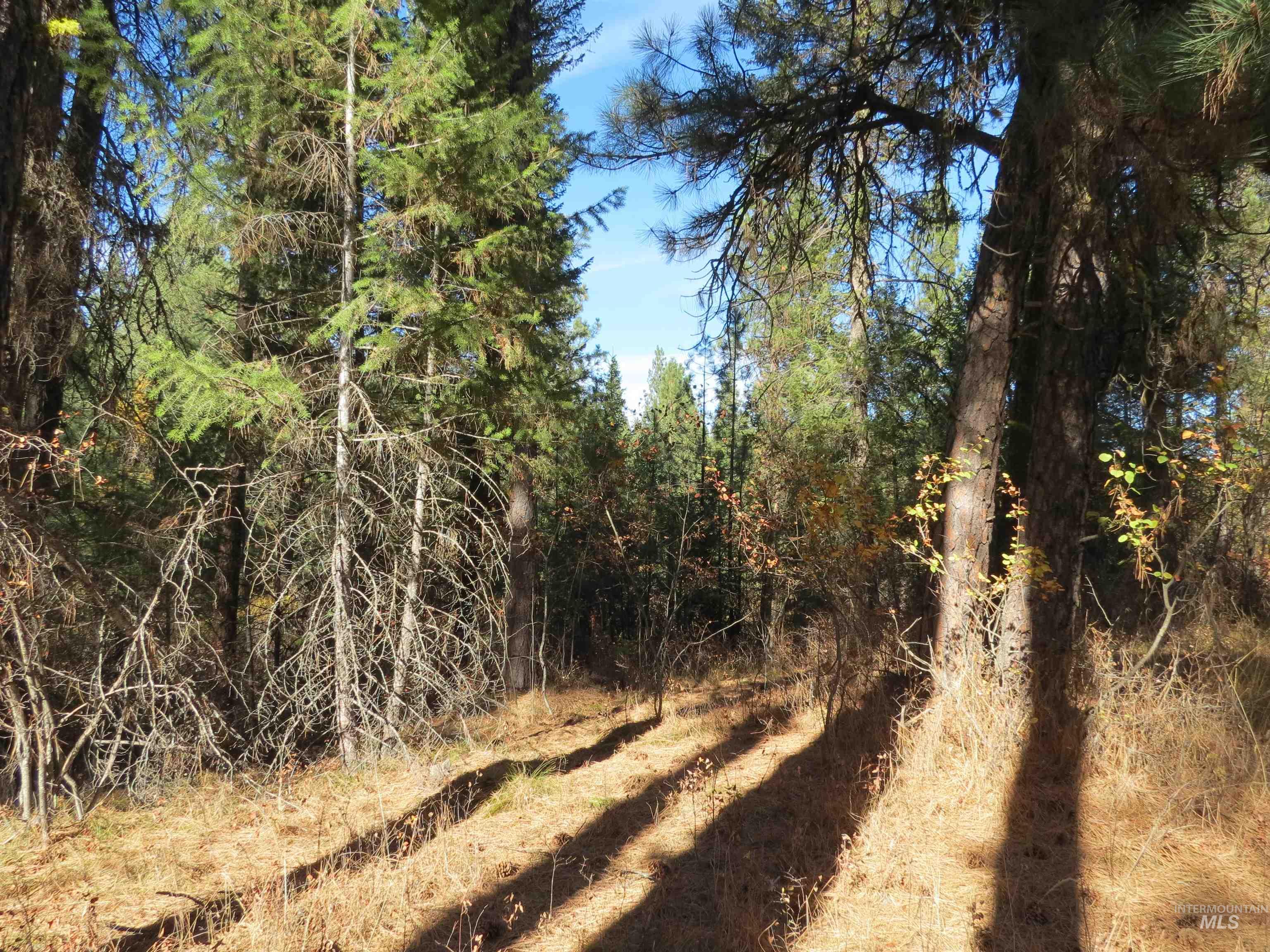 Lot 36 Spur Dr. Property Photo 10