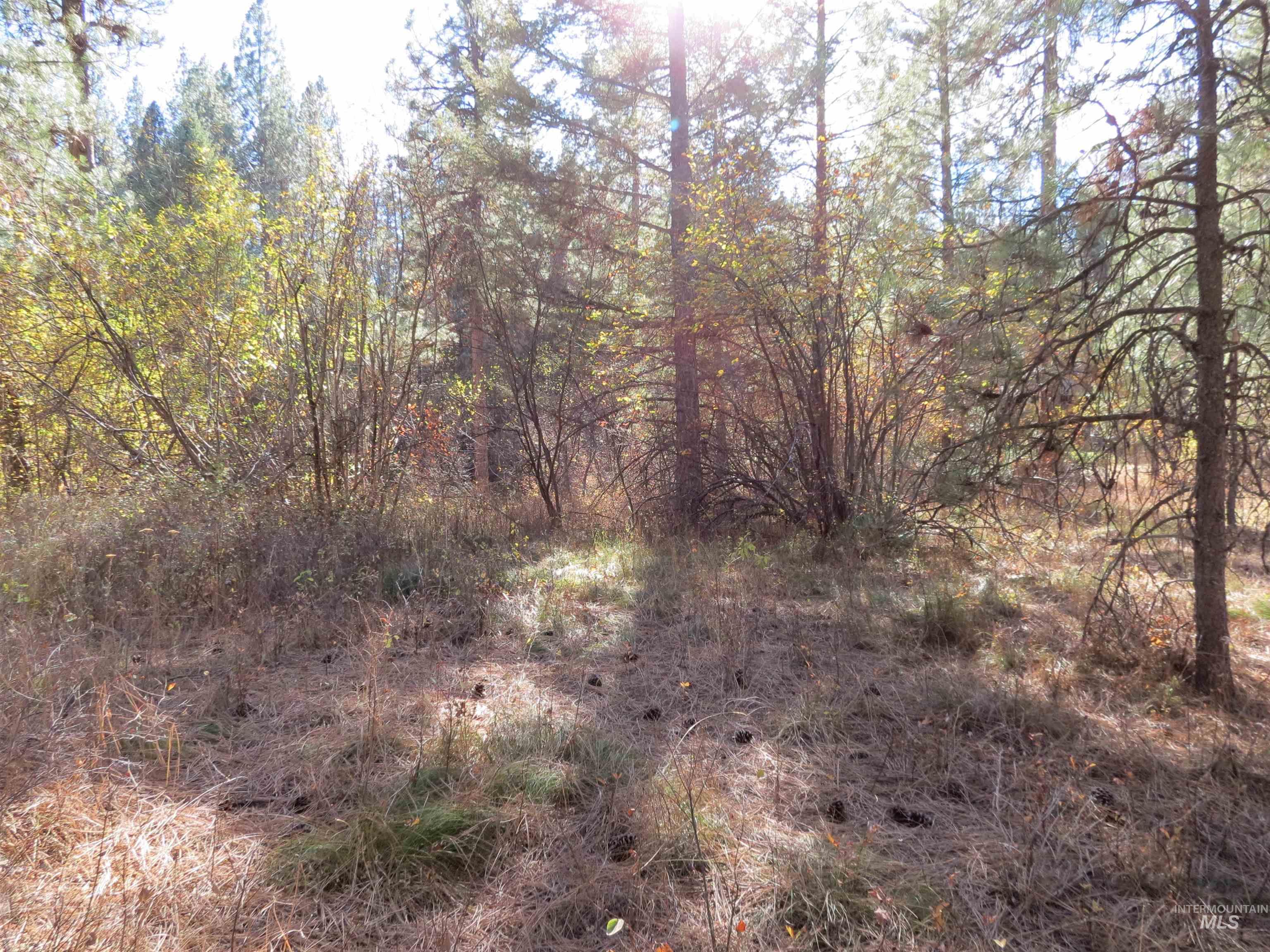 Lot 36 Spur Dr. Property Photo 11