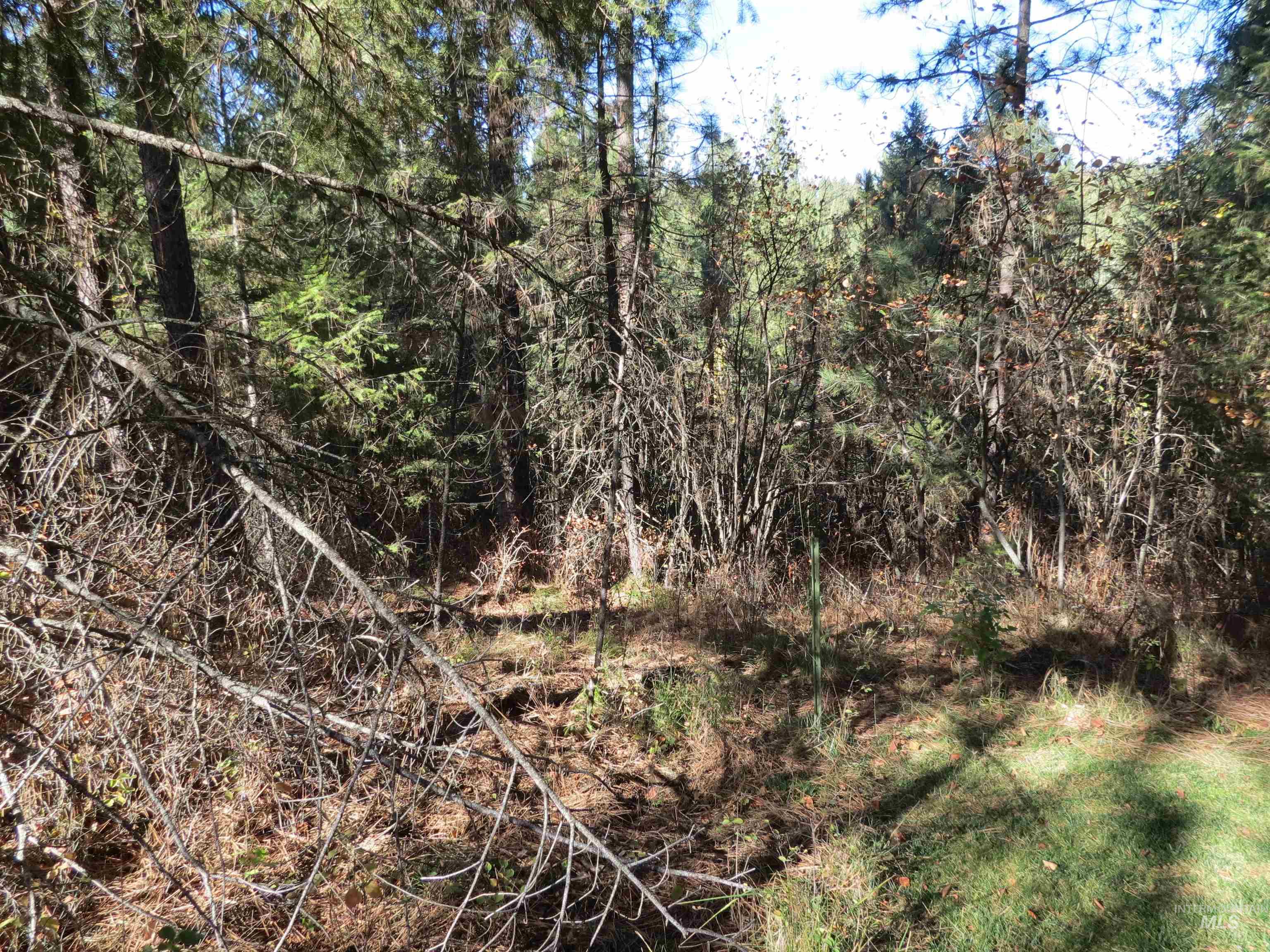 Lot 36 Spur Dr. Property Photo 12
