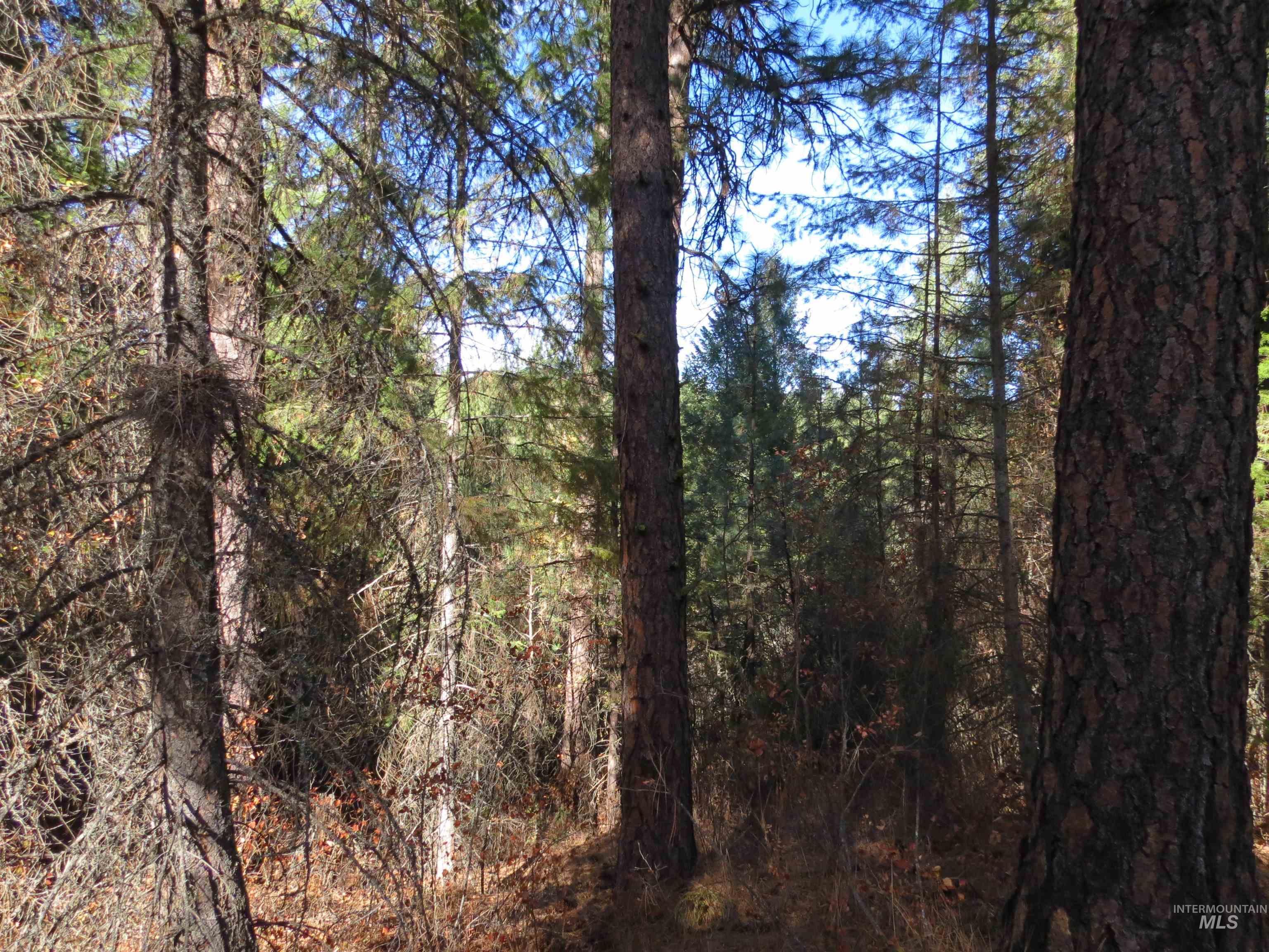 Lot 36 Spur Dr. Property Photo 13