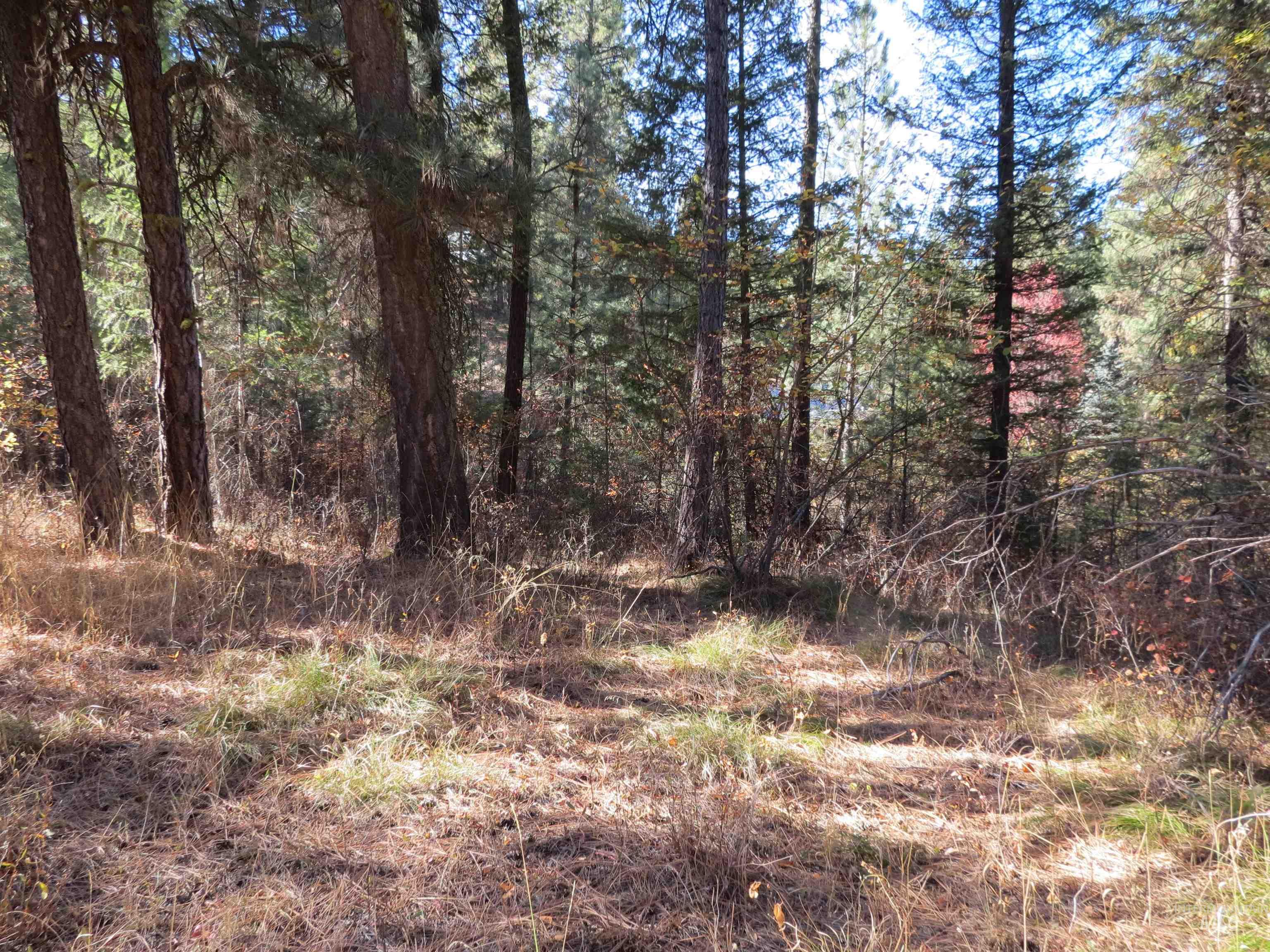 Lot 36 Spur Dr. Property Photo 14
