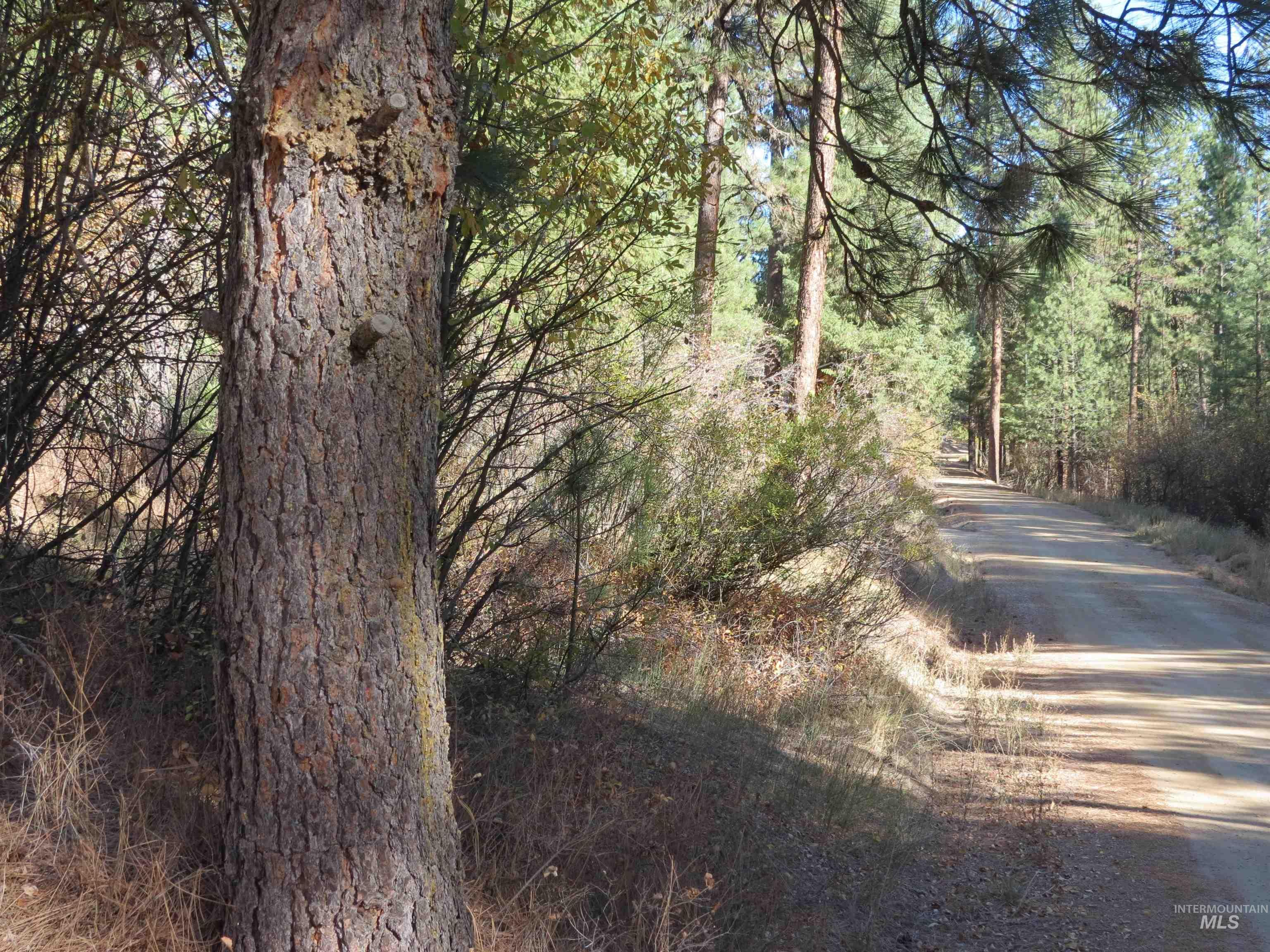 Lot 36 Spur Dr. Property Photo 15