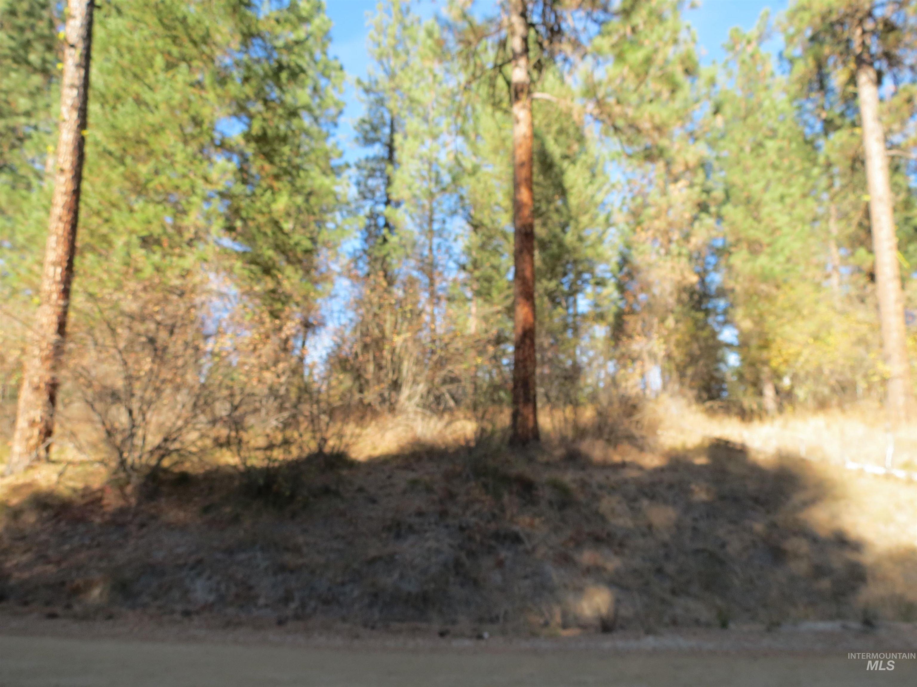 Lot 36 Spur Dr. Property Photo 18