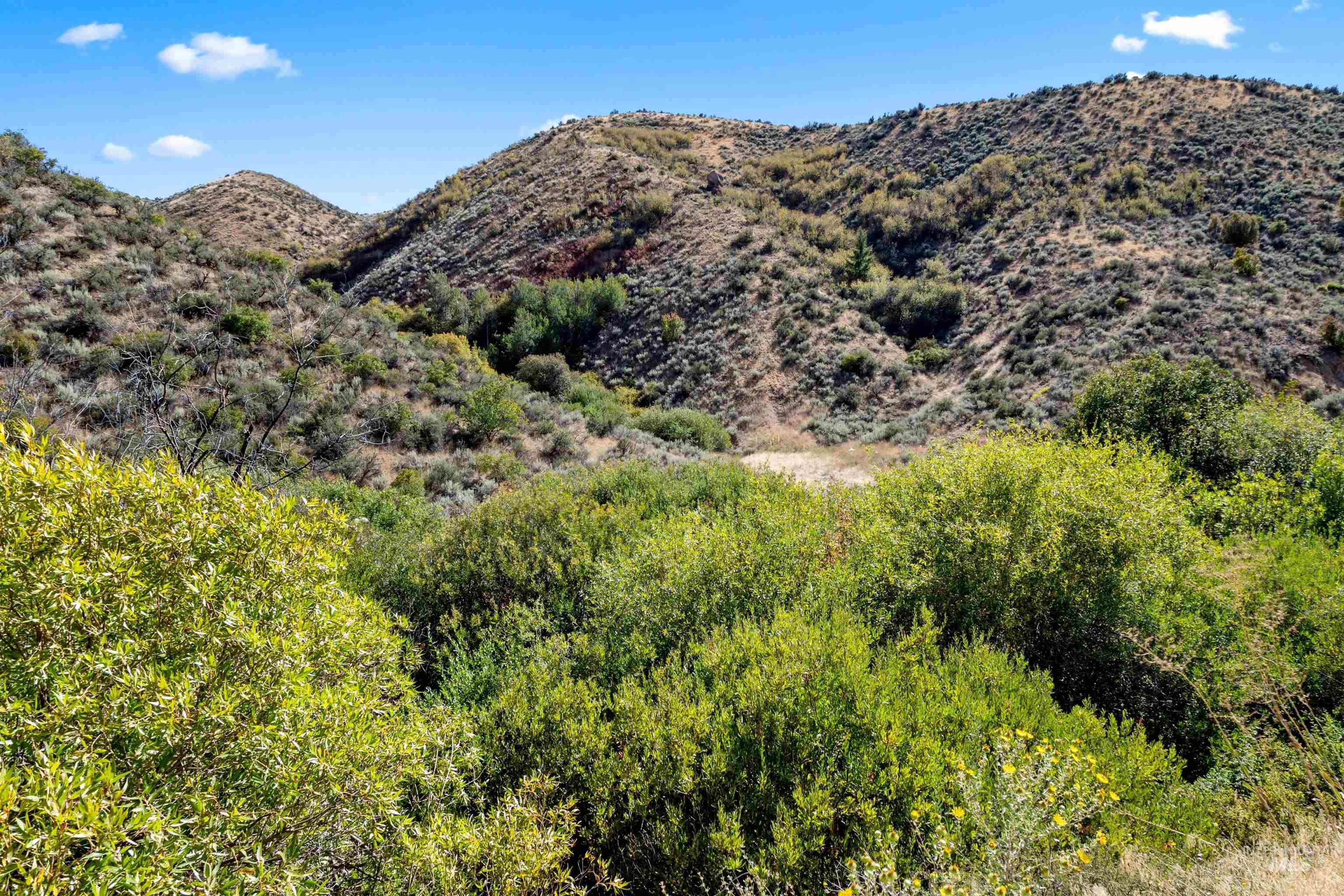 Tbd E Shaw Mountain Rd Property Photo 18