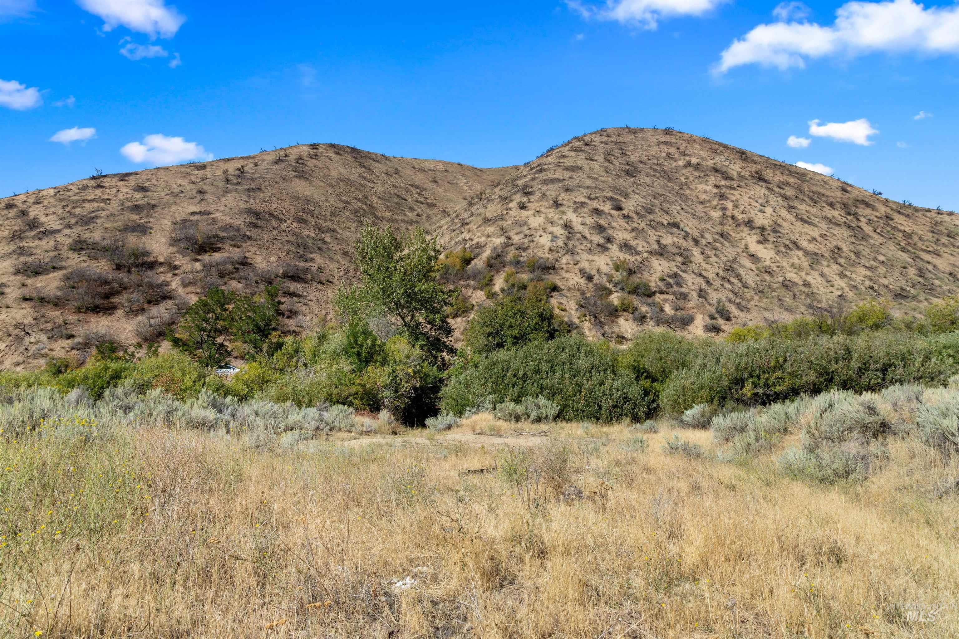 Tbd E Shaw Mountain Rd Property Photo 27
