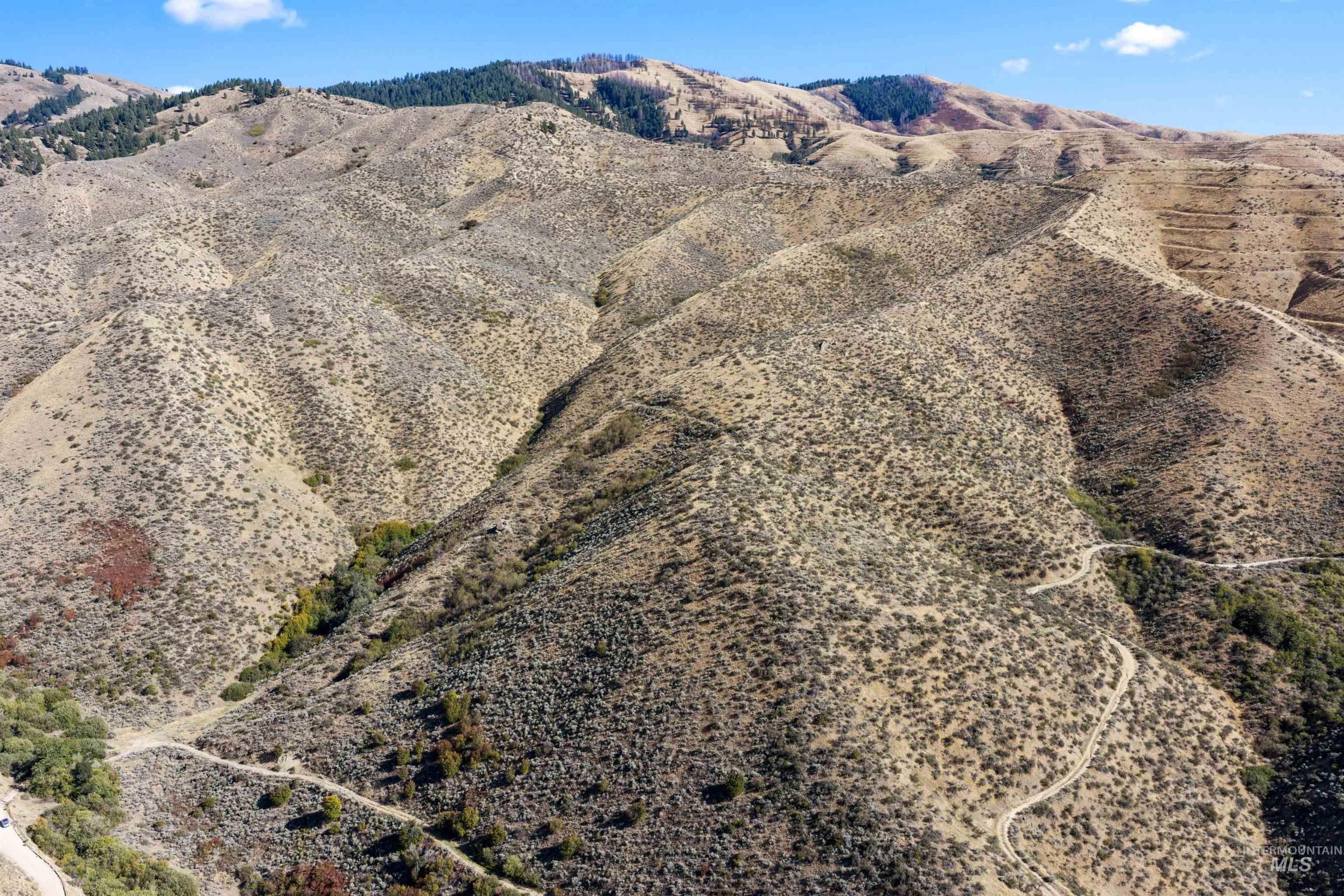 Tbd E Shaw Mountain Rd Property Photo 35