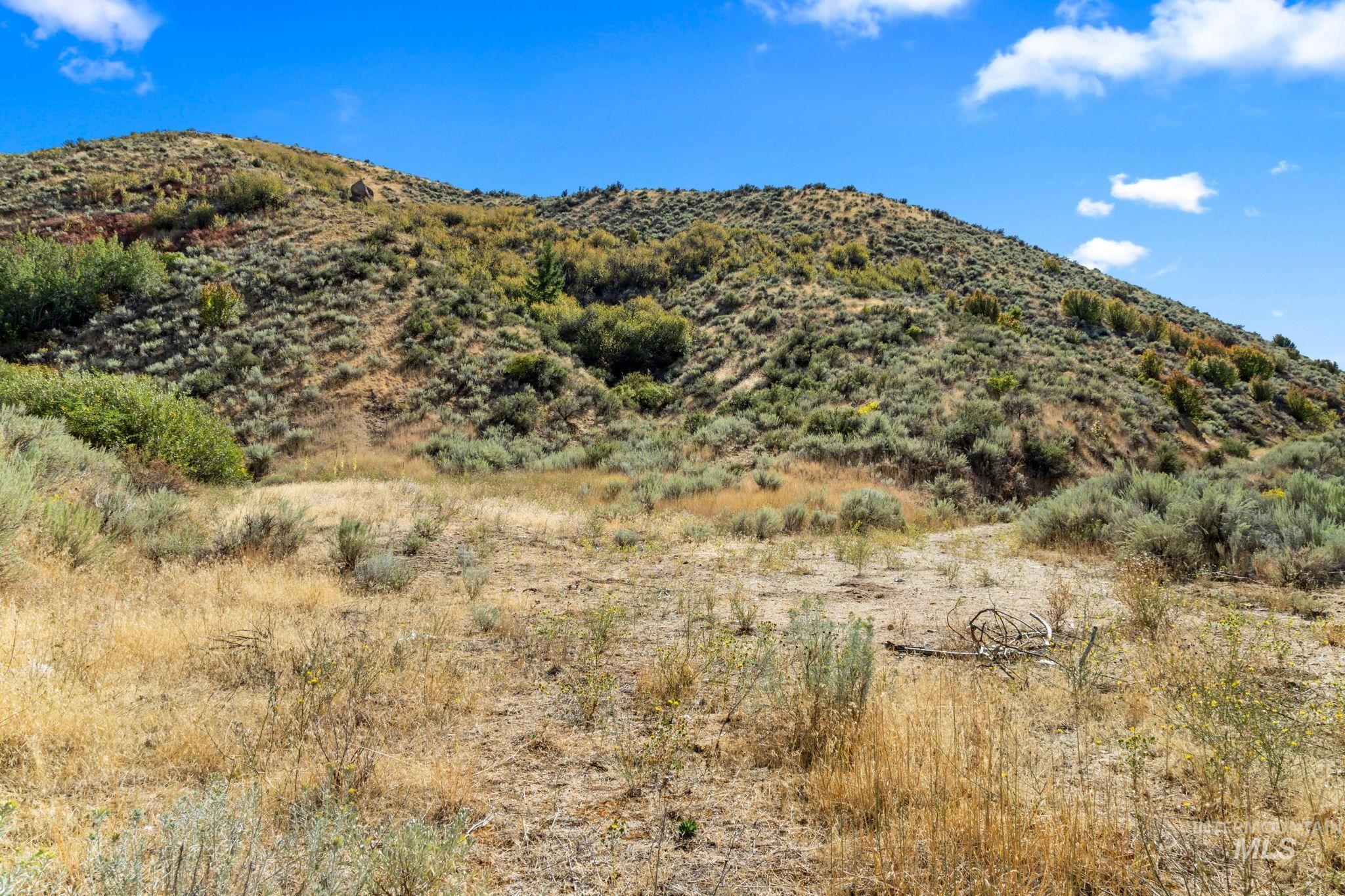 Tbd E Shaw Mountain Rd Property Photo 41