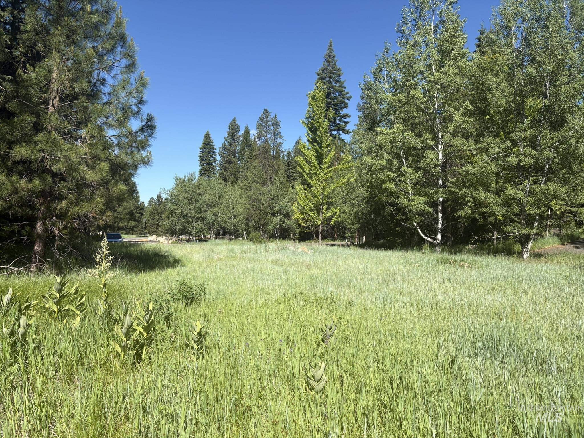 1024 Penstemen Pl Property Photo 7