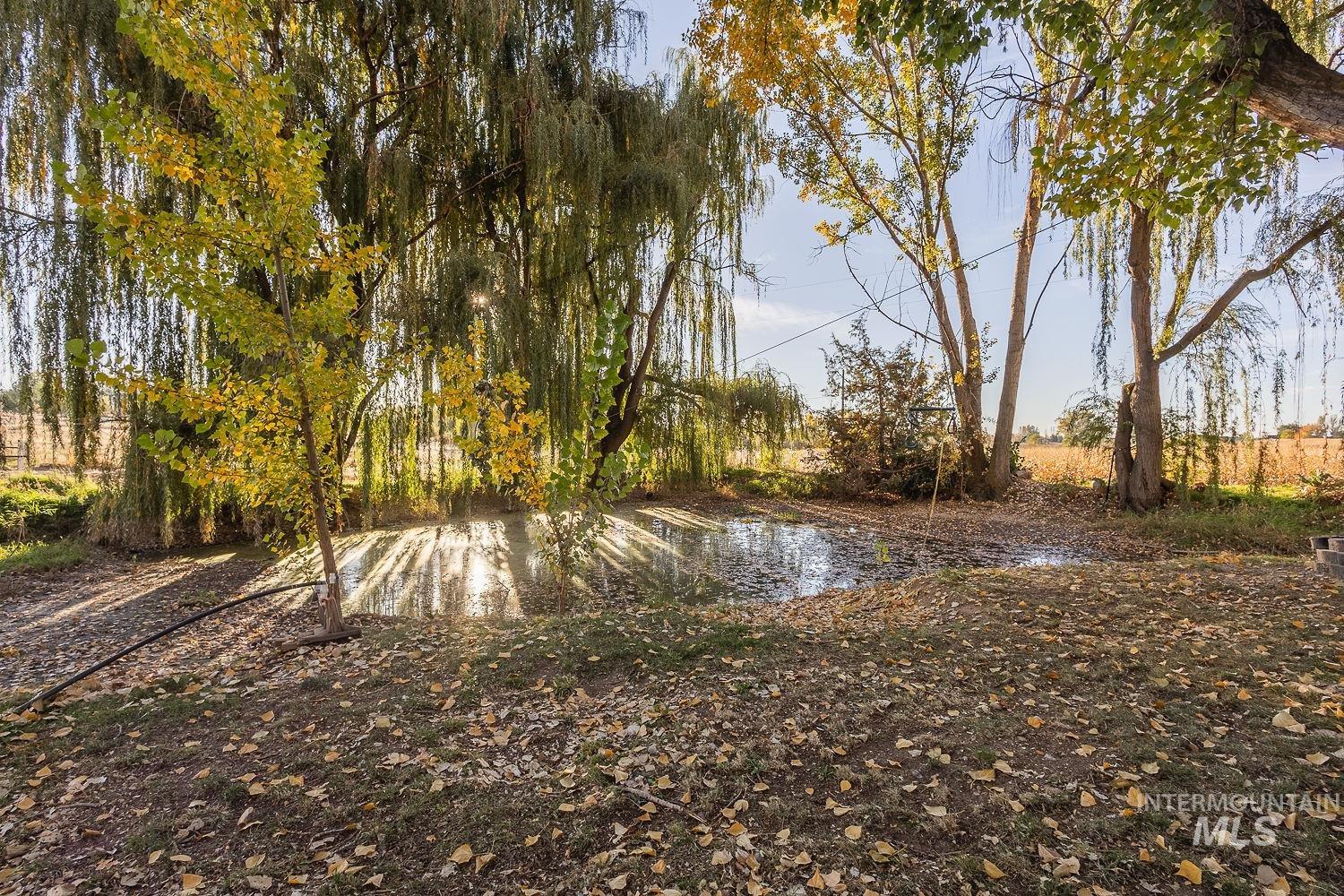 25530 Gooseberry Lane Property Photo 50