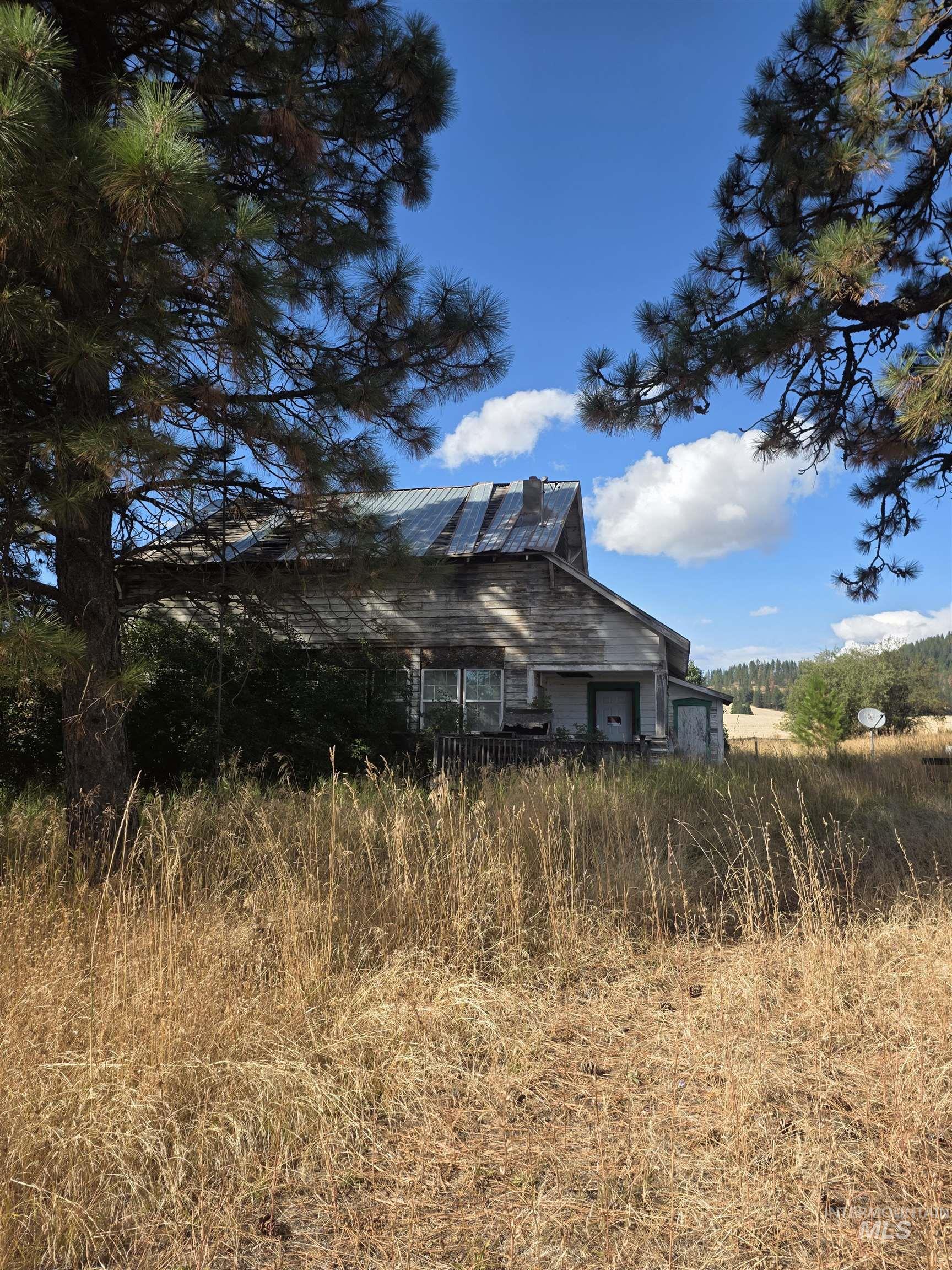 49 Freeman Creek Road Property Photo 5