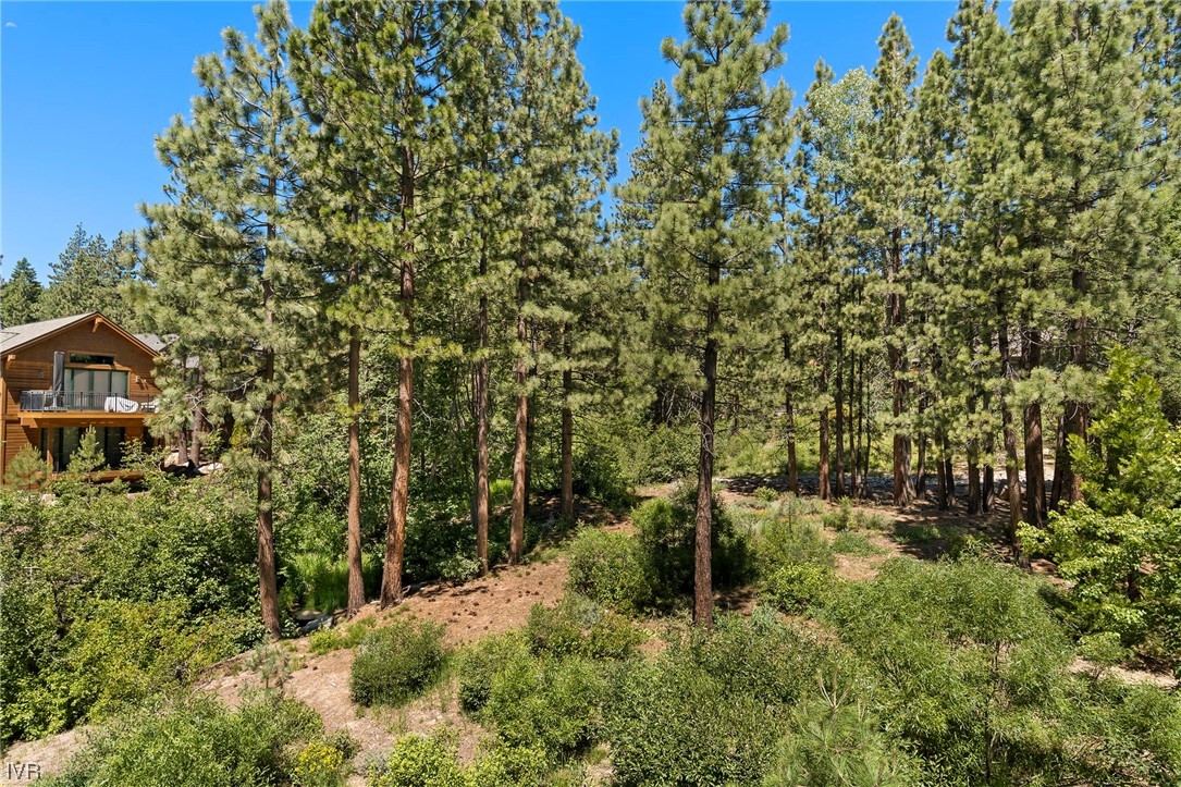 783 Pinion Pine Way Property Photo 3