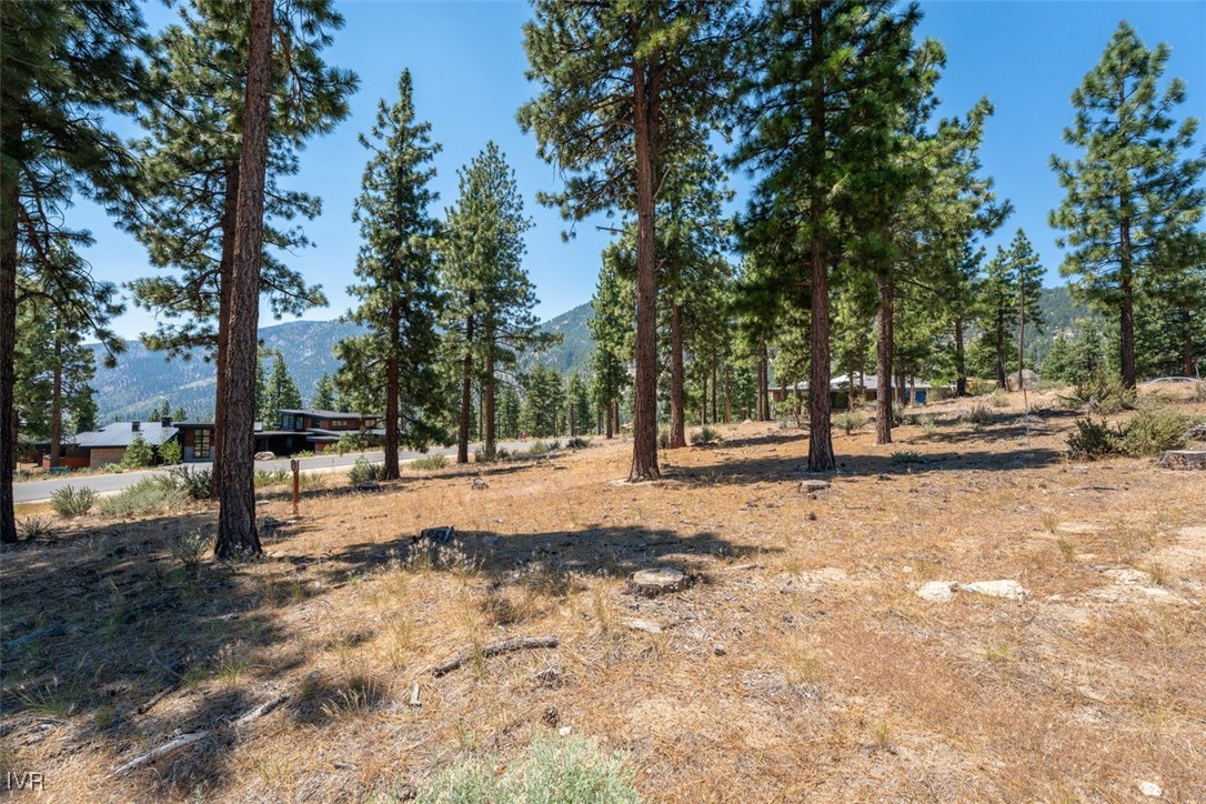 181 Tor Court Property Photo 2