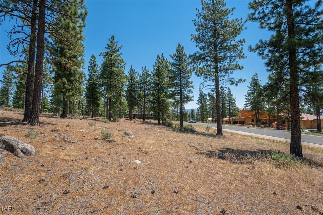 181 Tor Court Property Photo 8