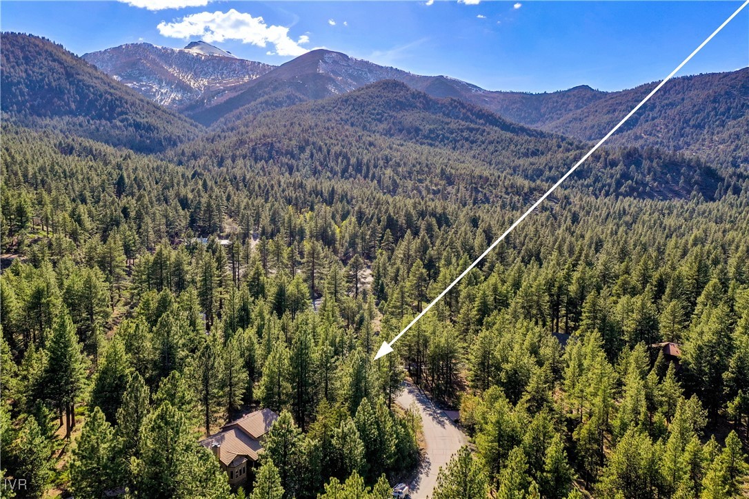 1205 Douglas Fir Drive Property Photo 3