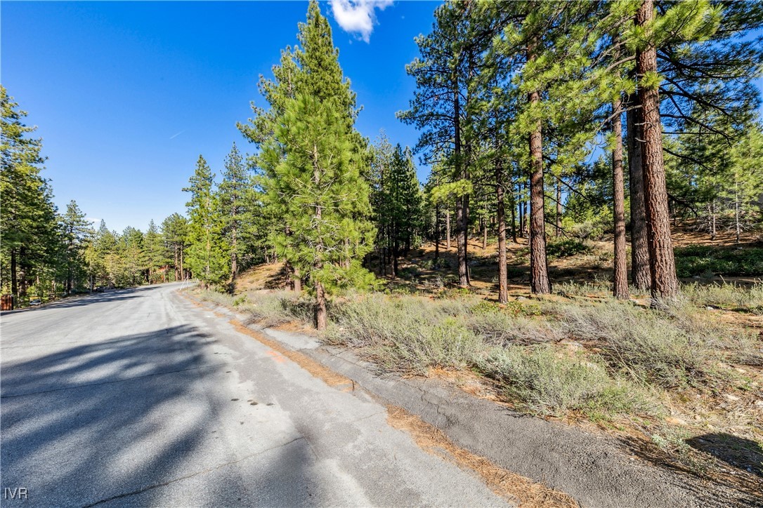 1205 Douglas Fir Drive Property Photo 6