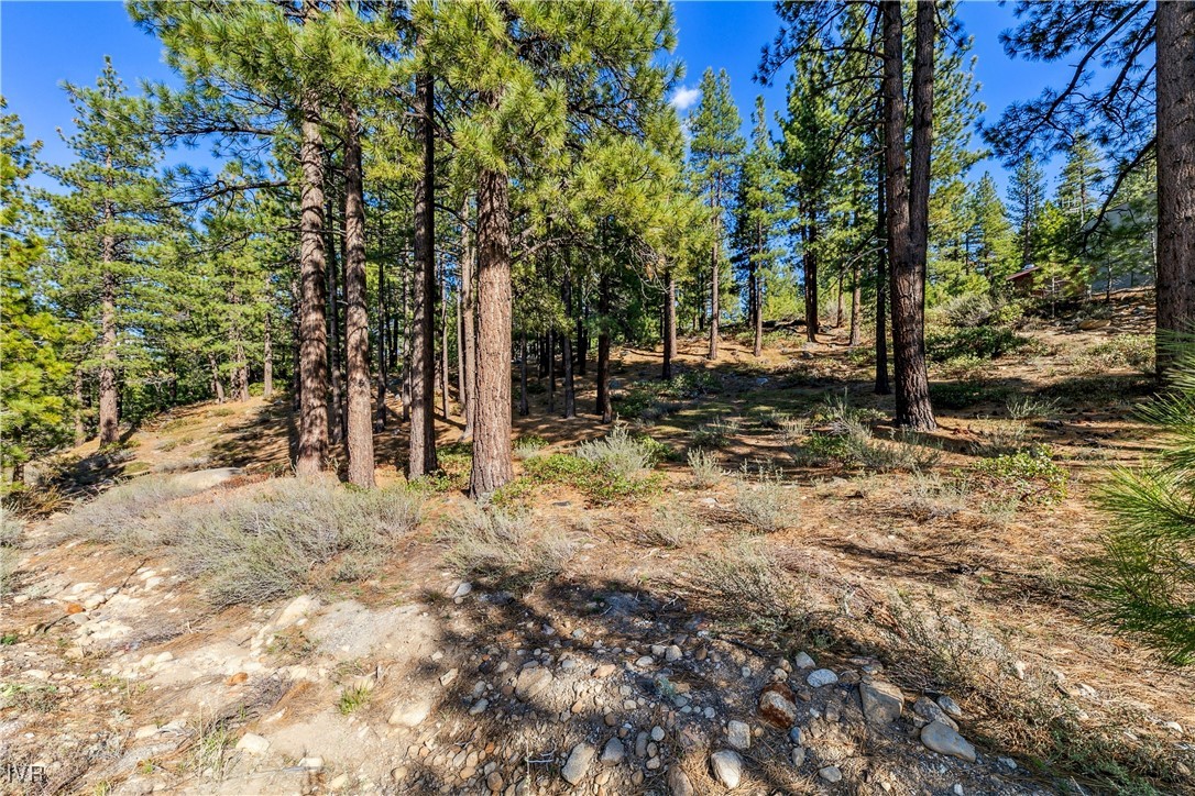 1205 Douglas Fir Drive Property Photo 7