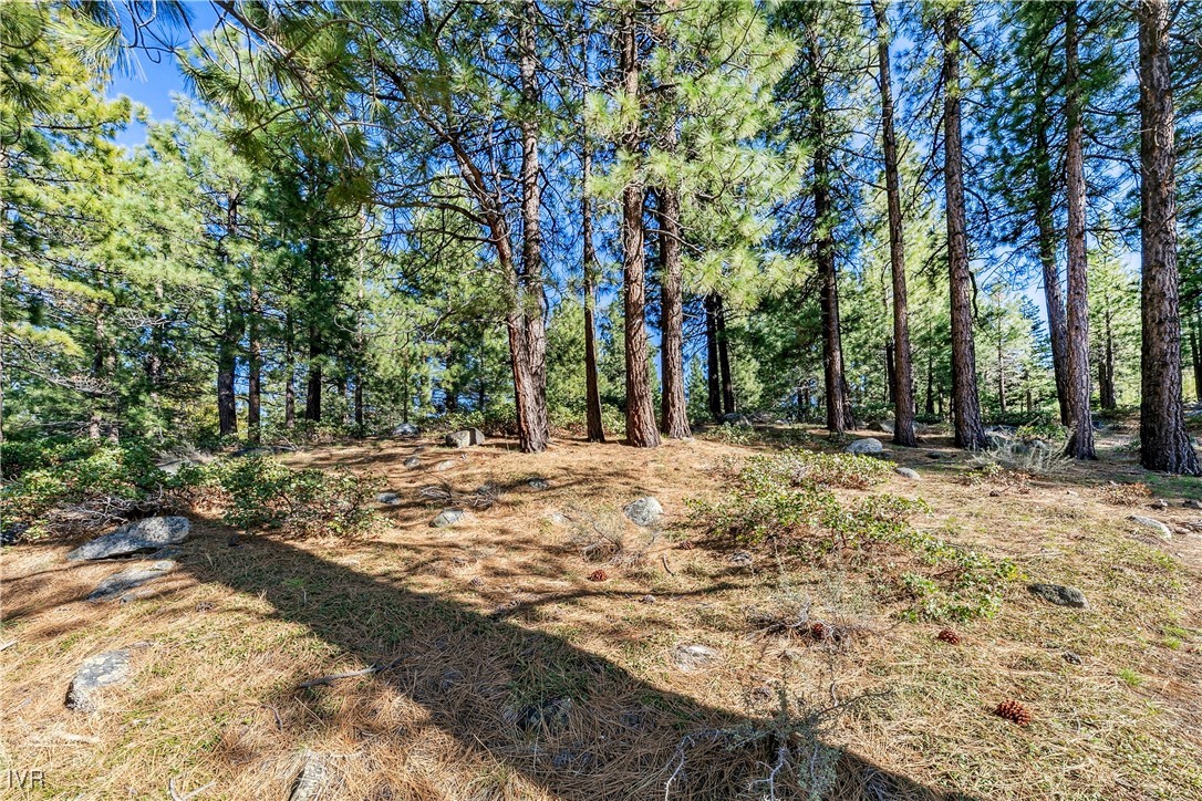 1205 Douglas Fir Drive Property Photo 8