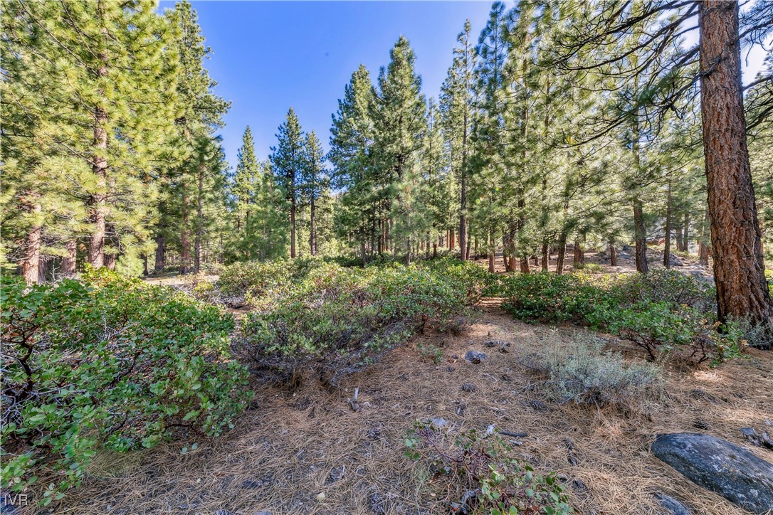 1205 Douglas Fir Drive Property Photo 9