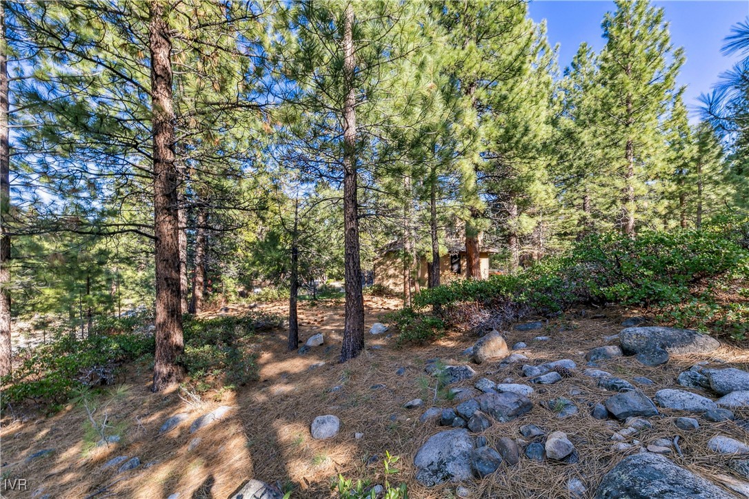 1205 Douglas Fir Drive Property Photo 10