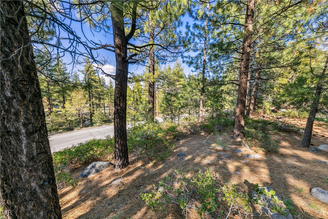 1205 Douglas Fir Drive Property Photo 13