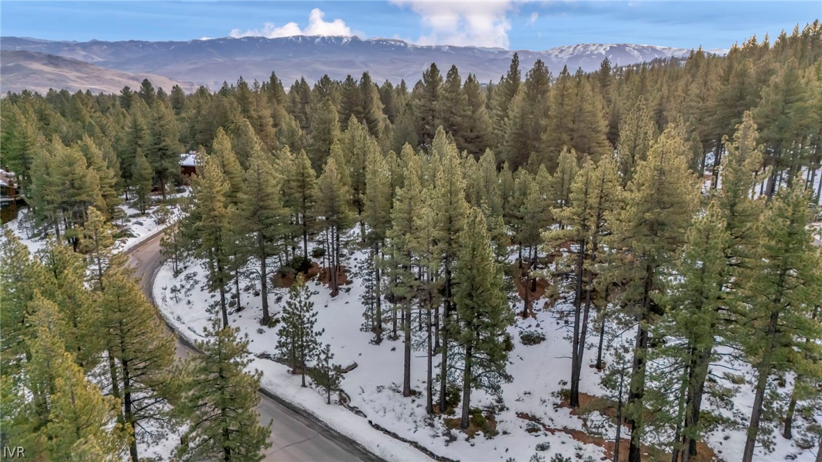 1205 Douglas Fir Drive Property Photo 17