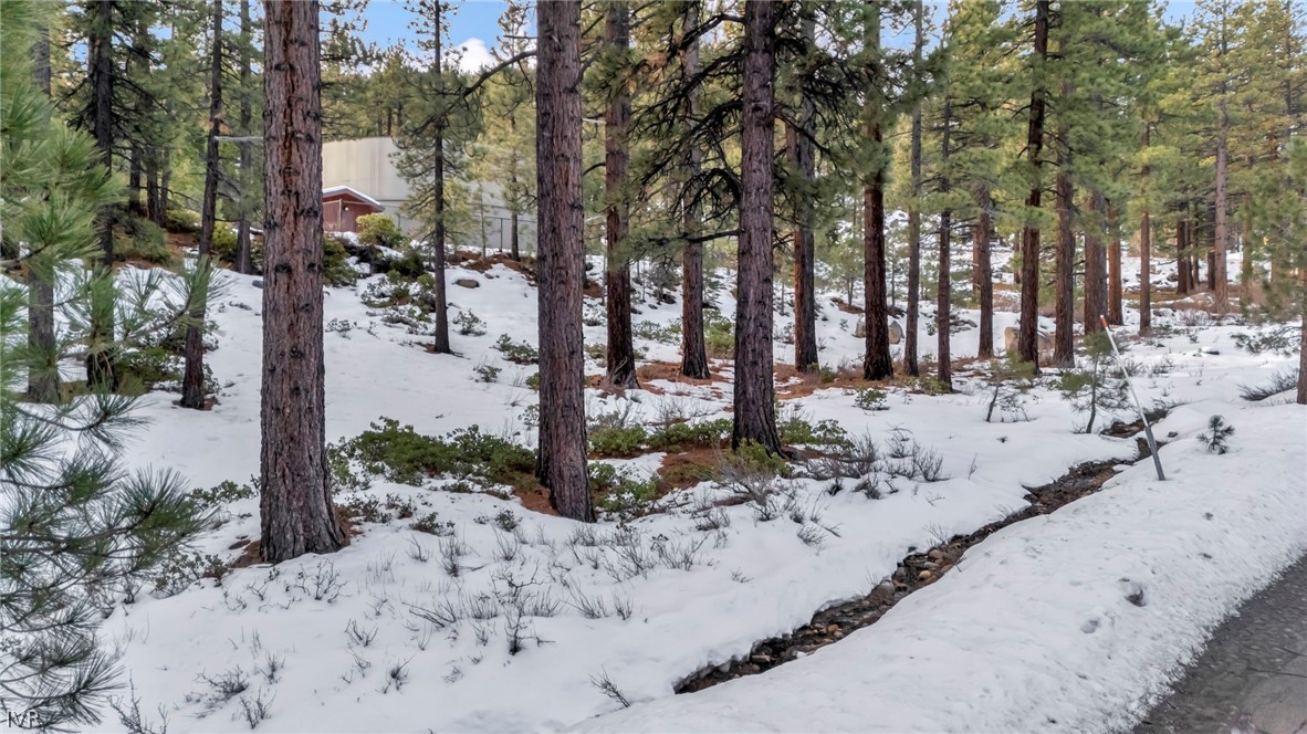 1205 Douglas Fir Drive Property Photo 23
